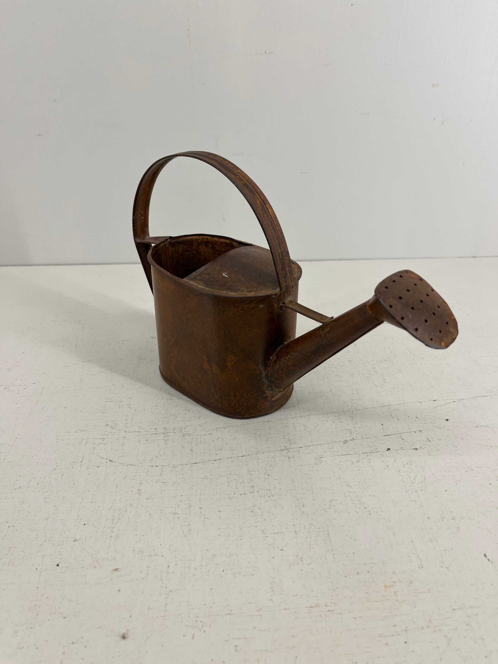 Tiny Watering Can