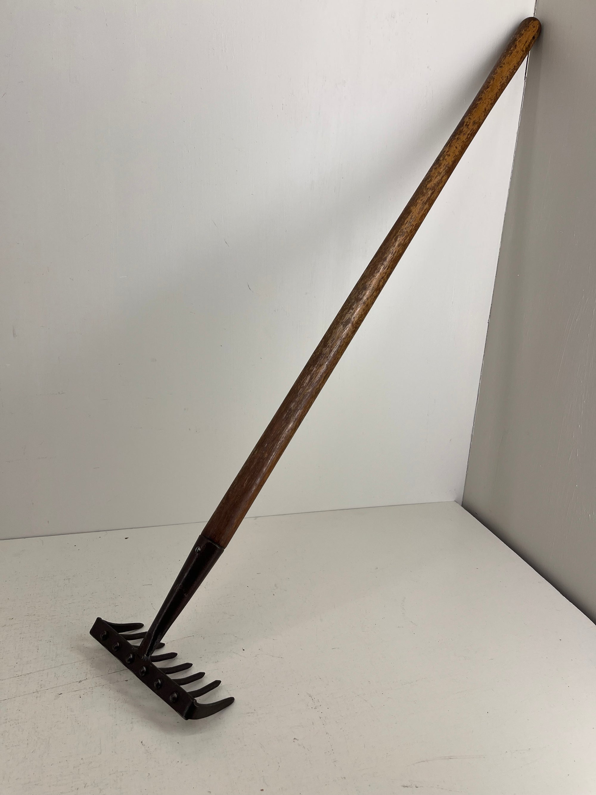Bulldog Child's Rake