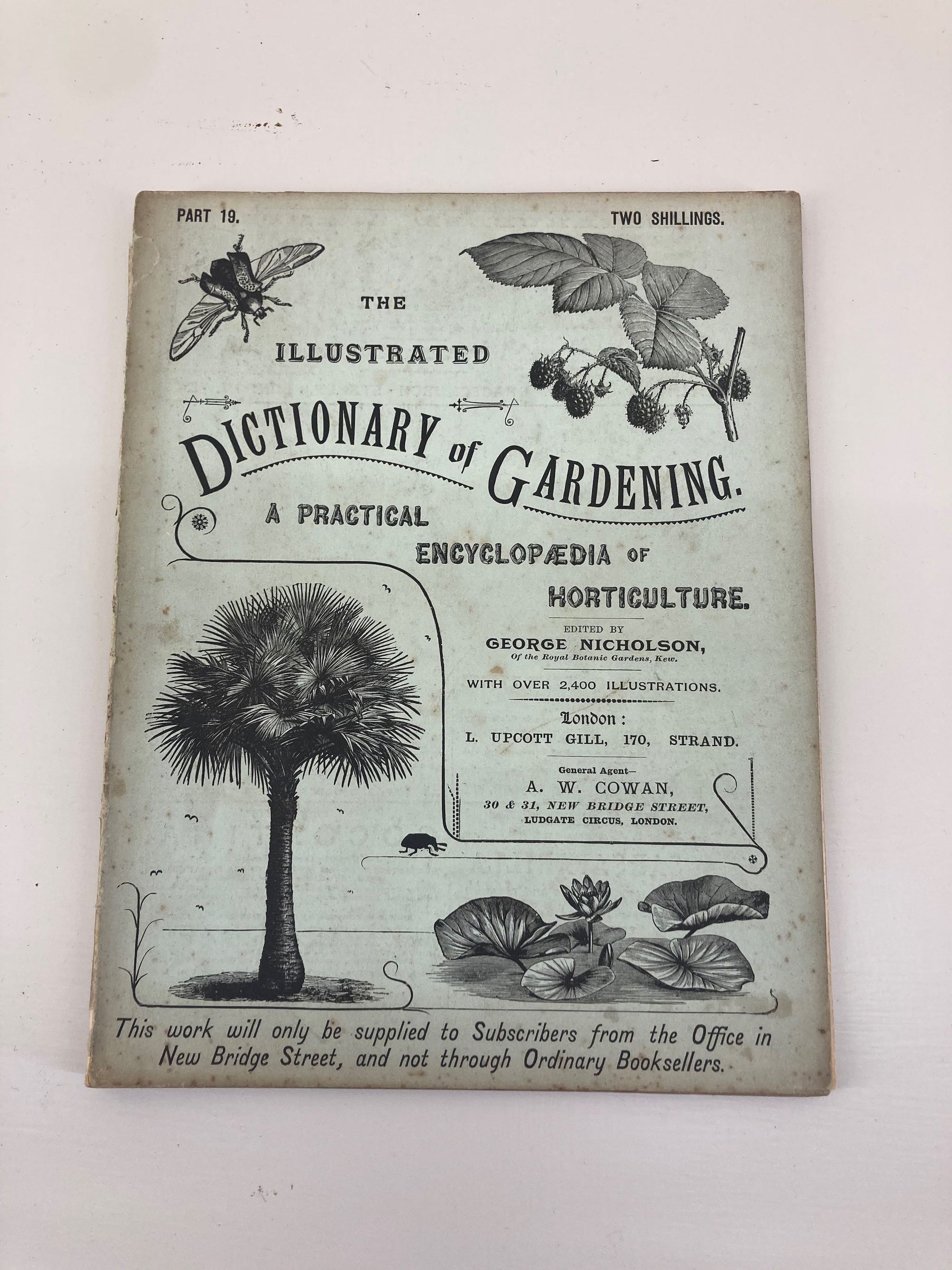 Illustrated Dictionary of Gardening Part 19