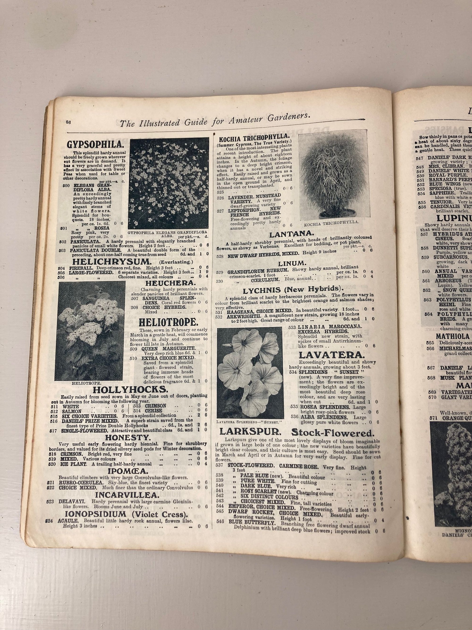 Daniel Bros Seed Catalogue, Spring 1922