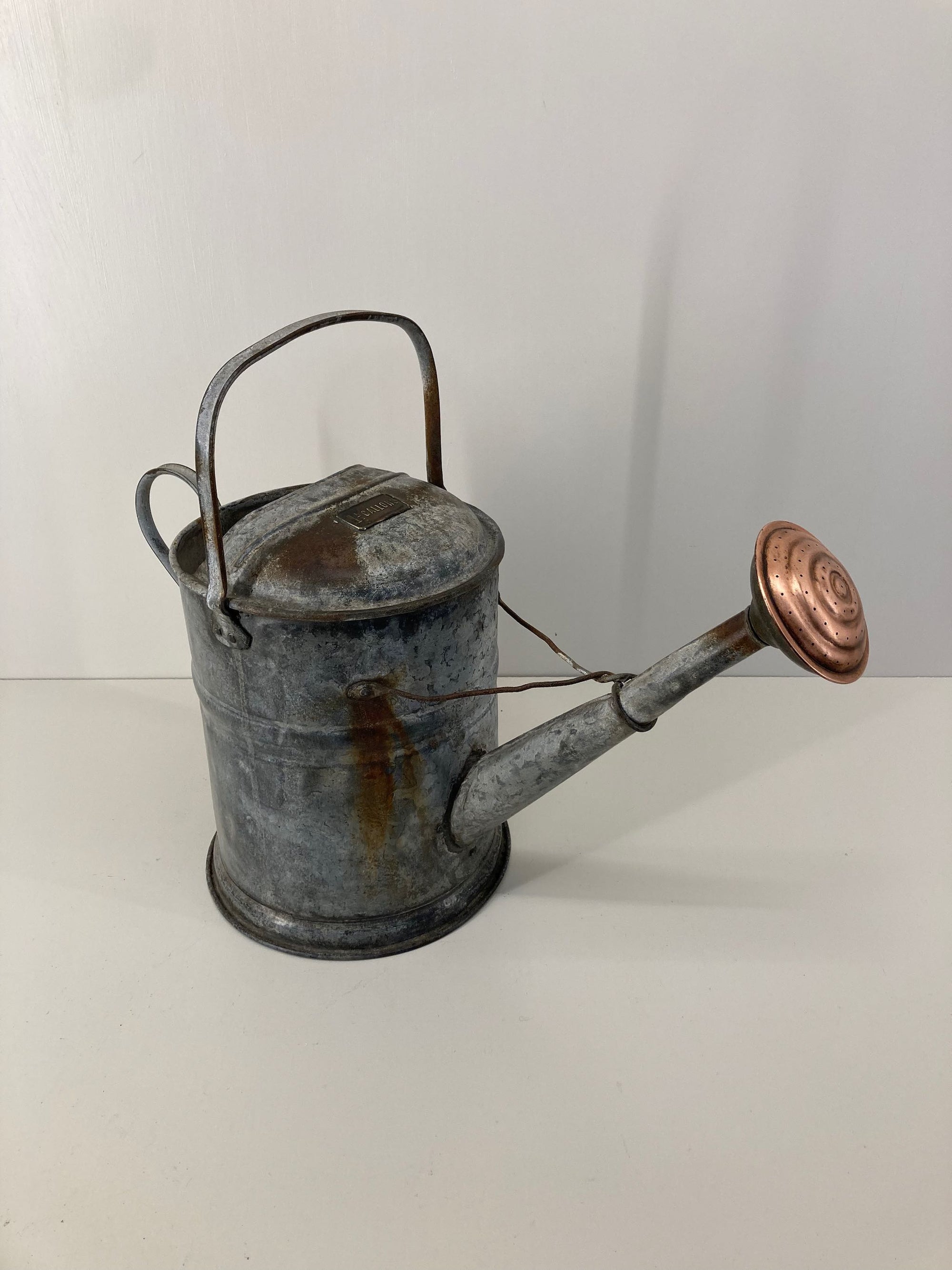 Rare Pattern 1 1/2 Gallon Watering Can