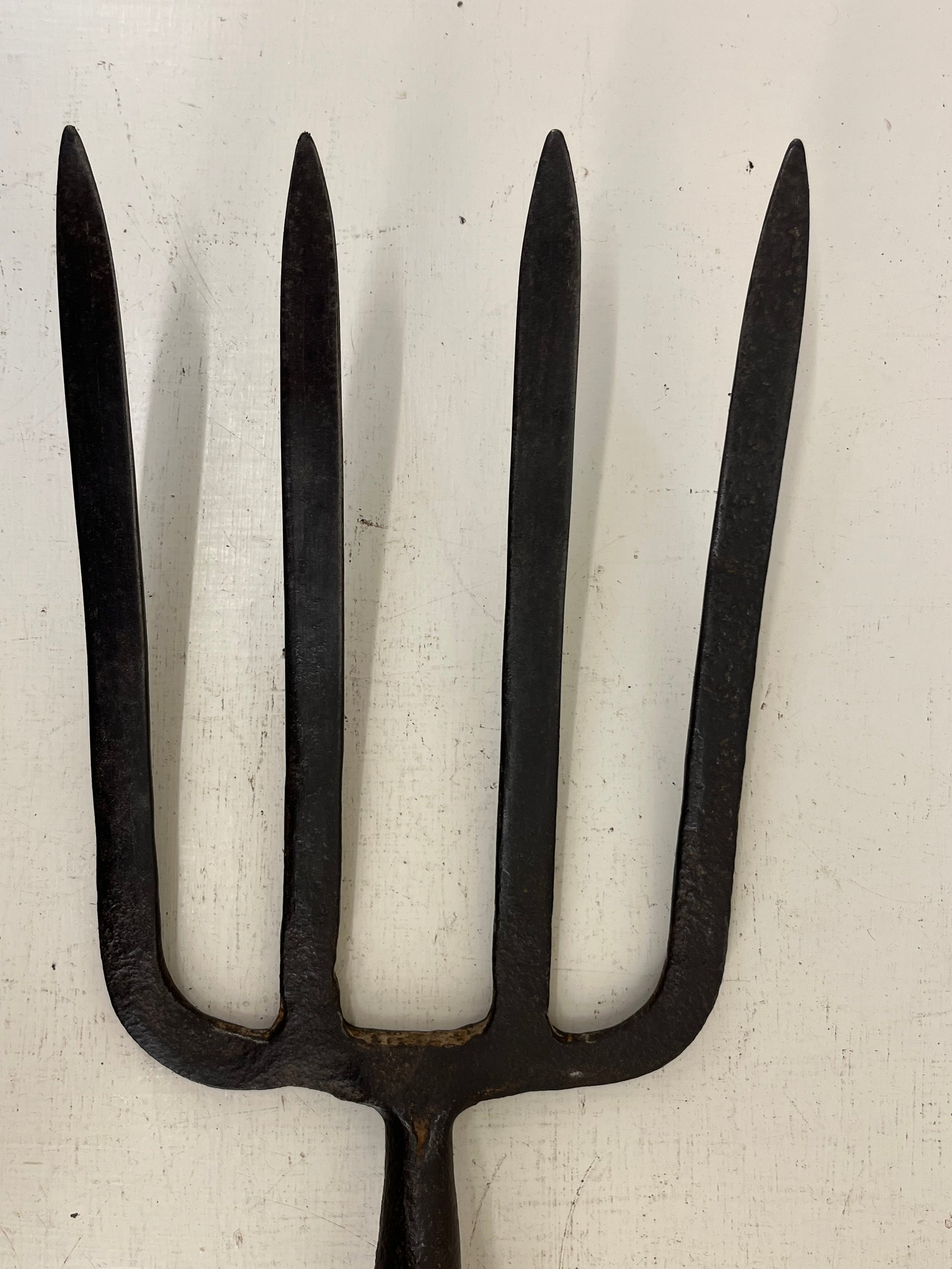 Potato Lifting Fork