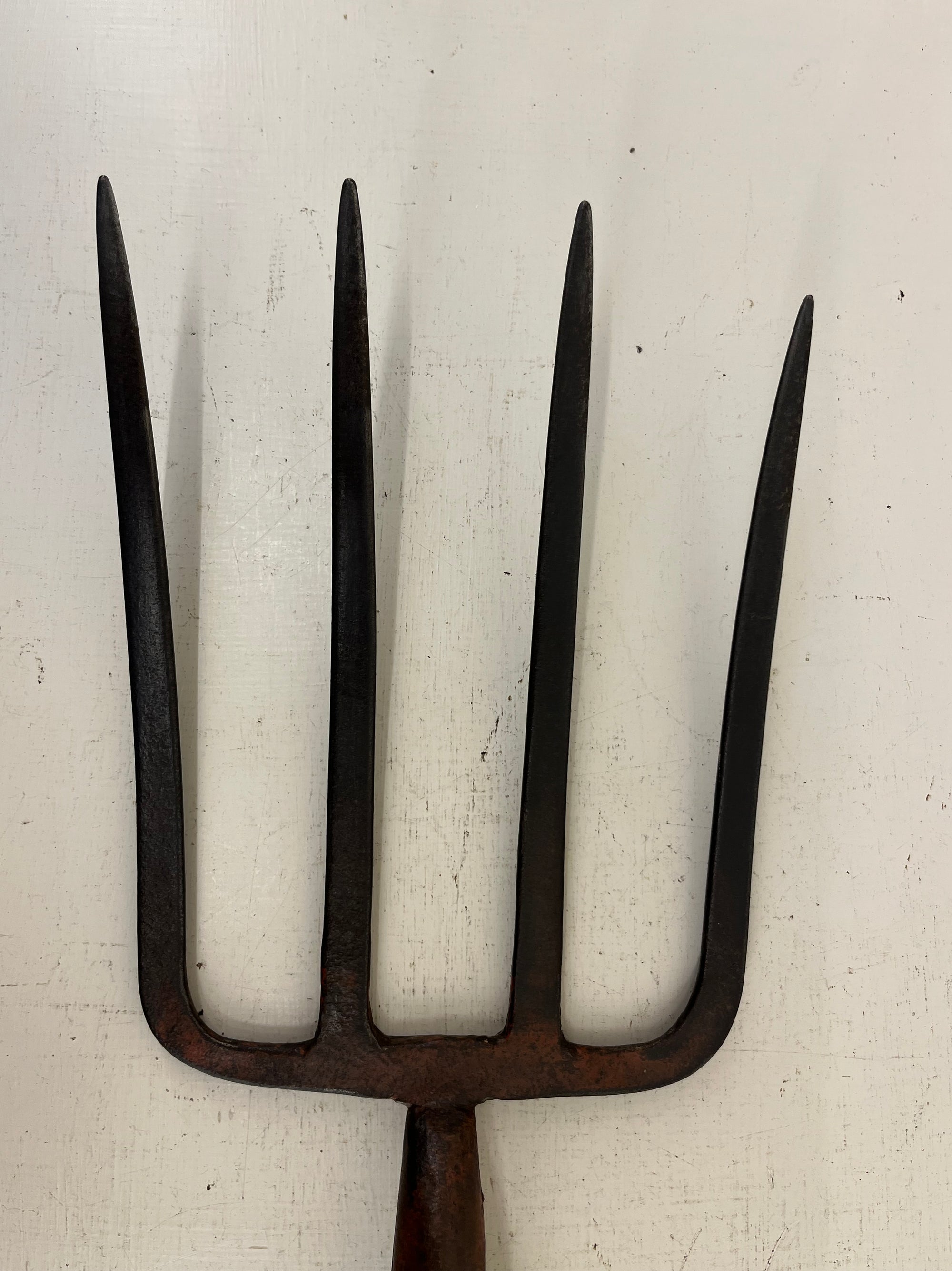 Brades Potato Lifting Fork