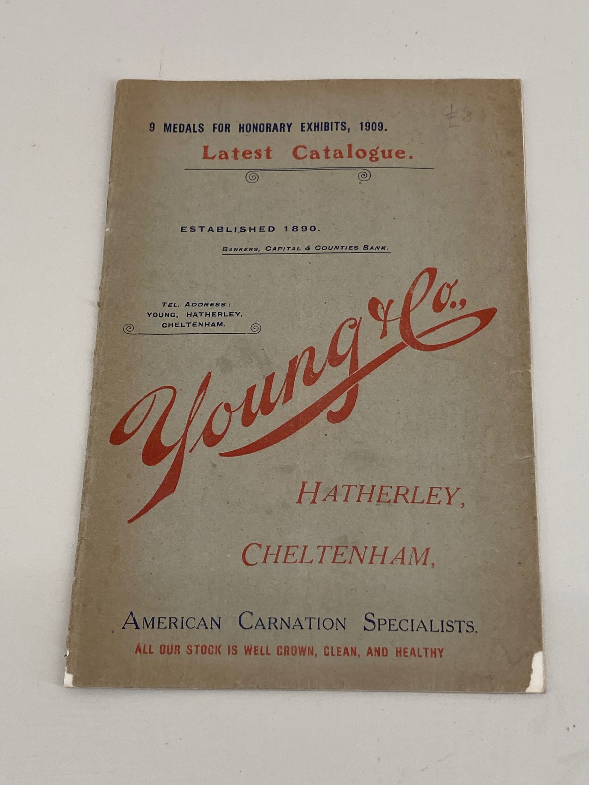 Young &amp; Co American Carnation Catalogue 1909