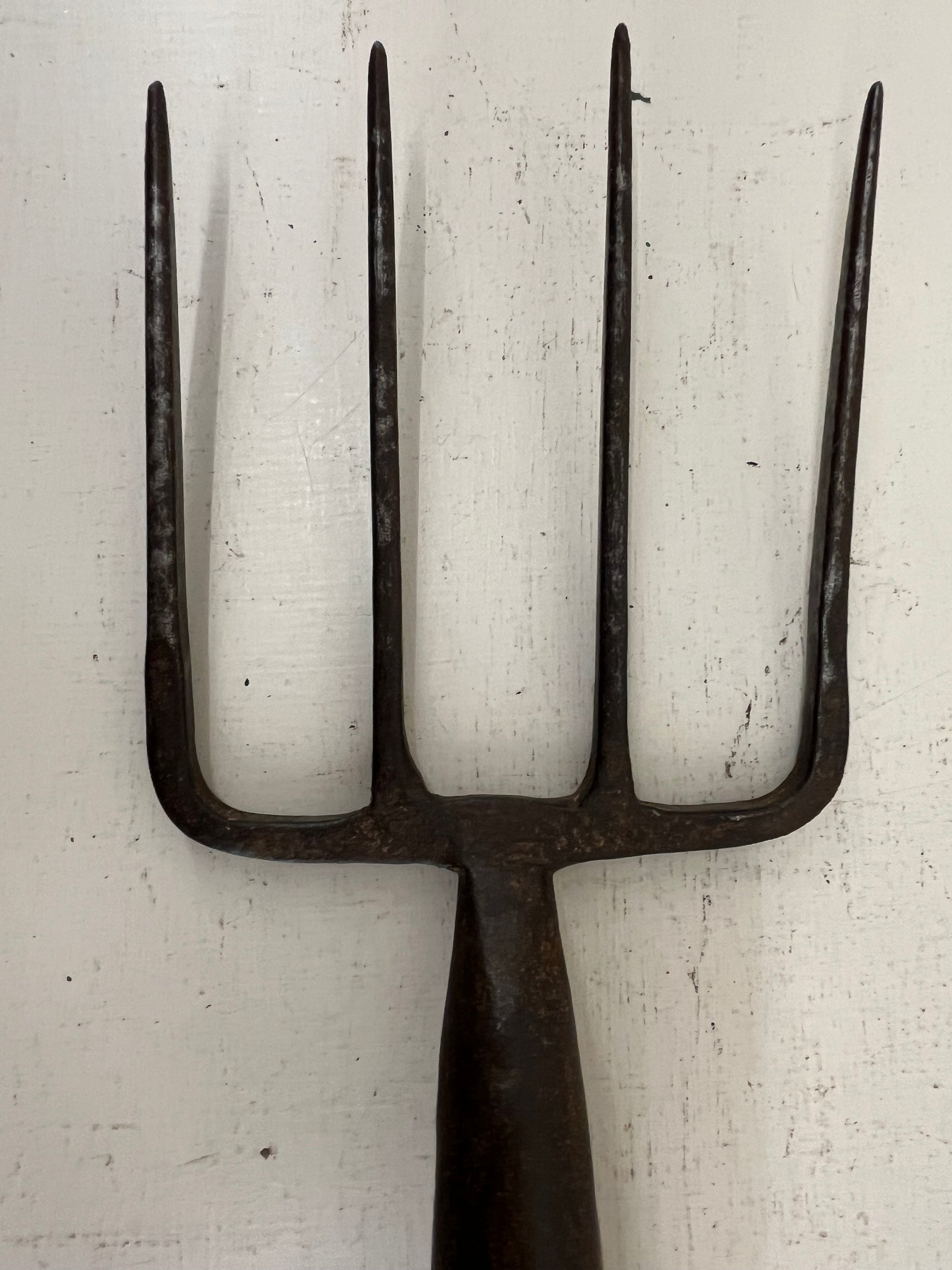 Brades Border Fork