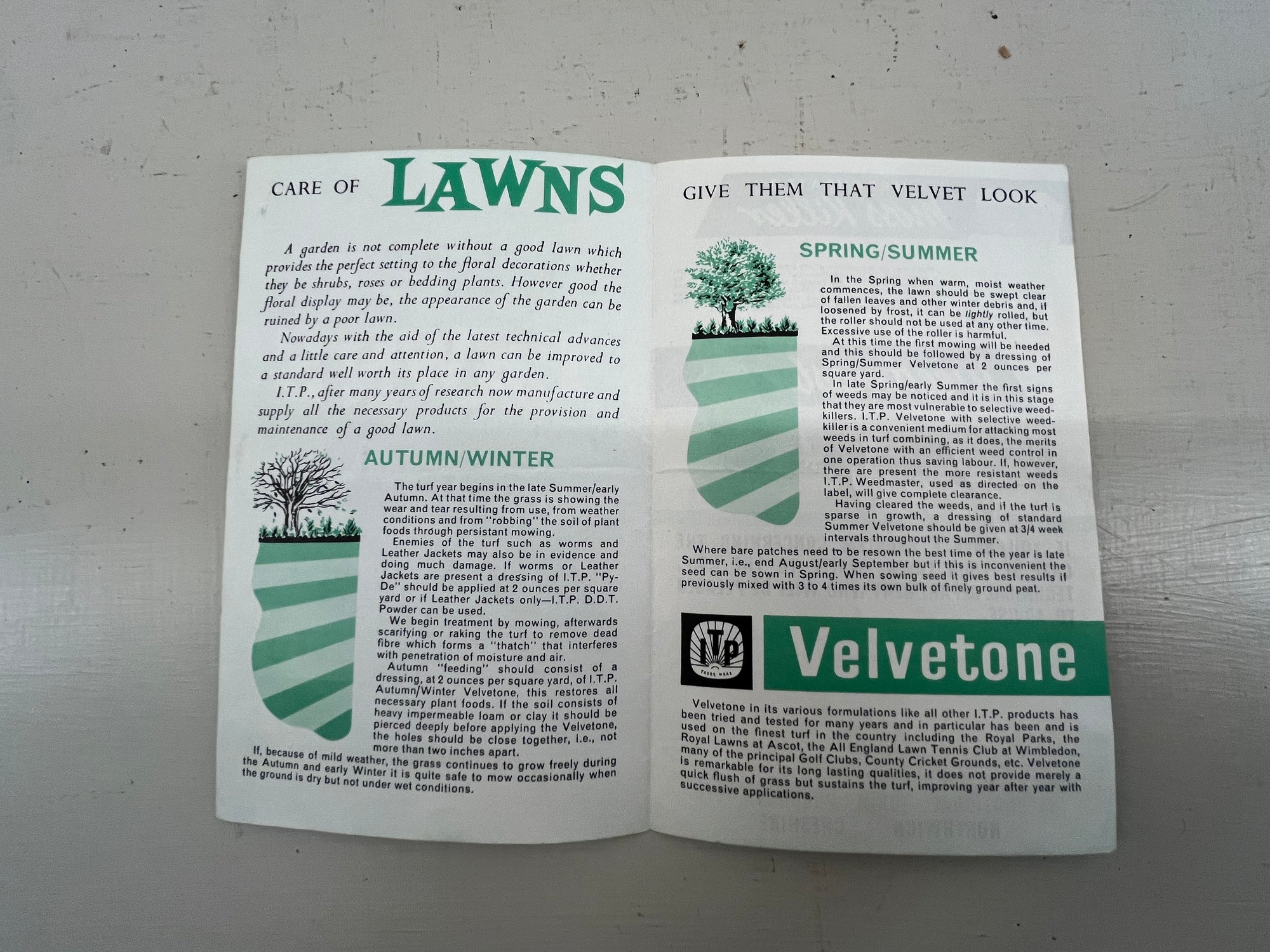 Lawns Product Leaflet