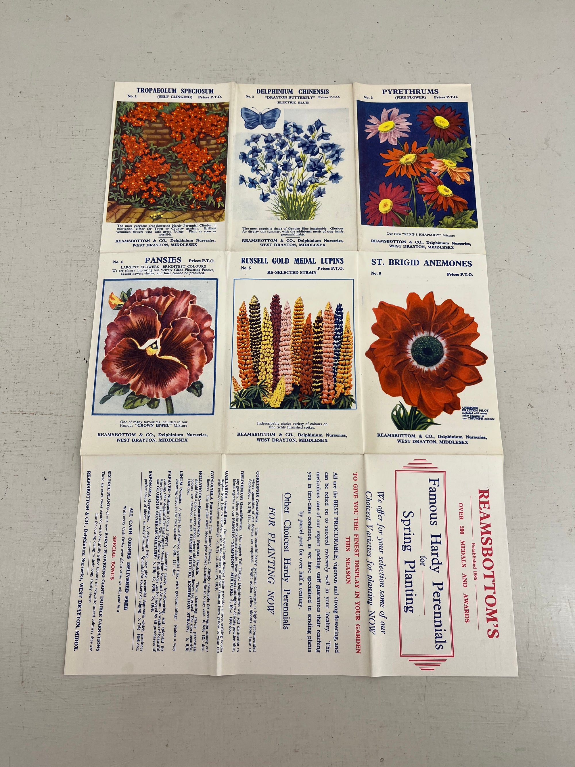 Reamsbottoms Nursery Leaflet