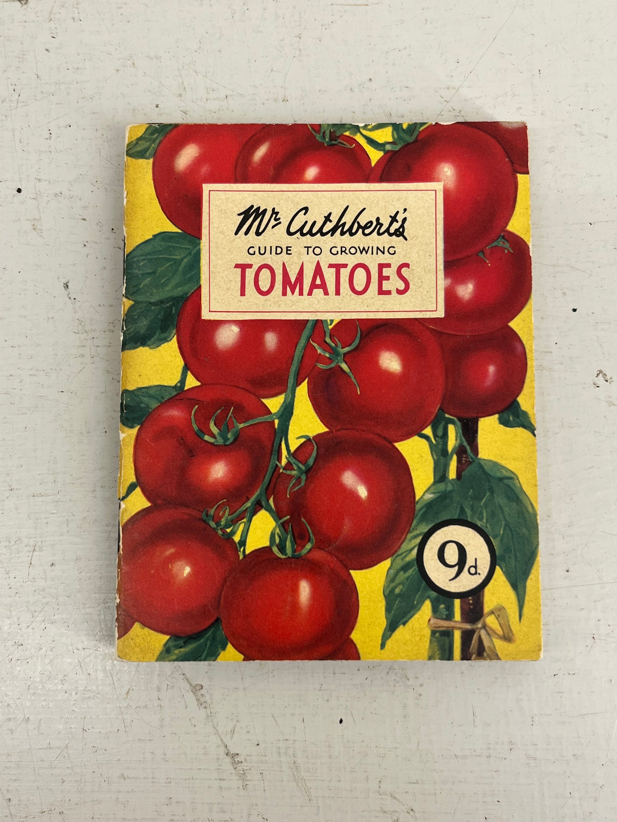 Mr Cuthberts Tomatoes