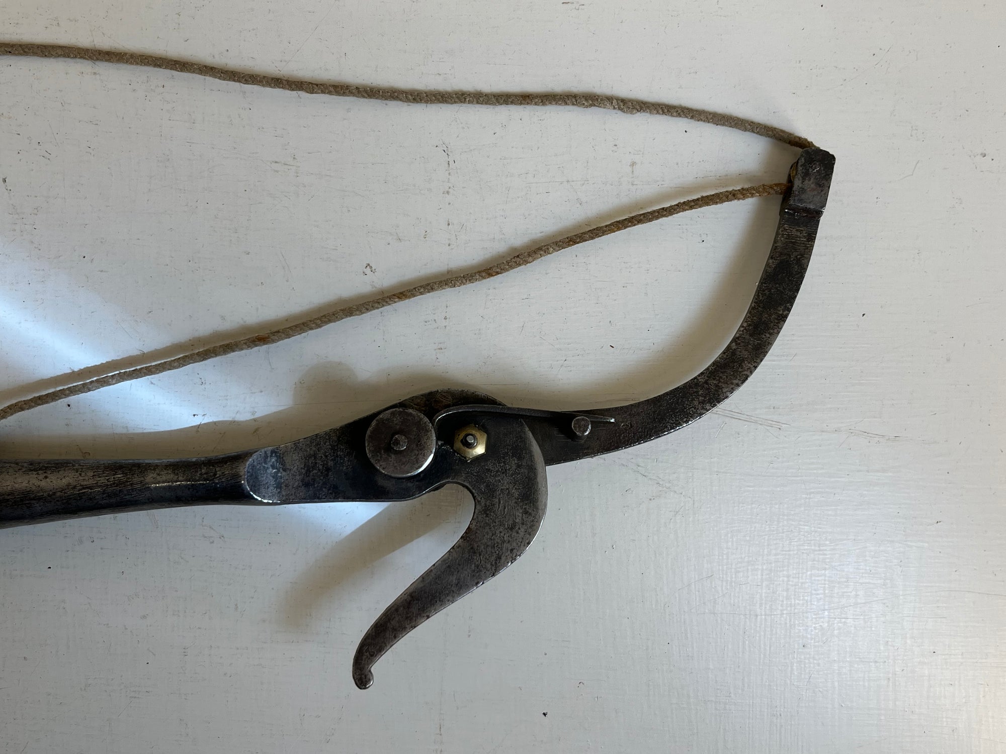 Long Reach French Pruner