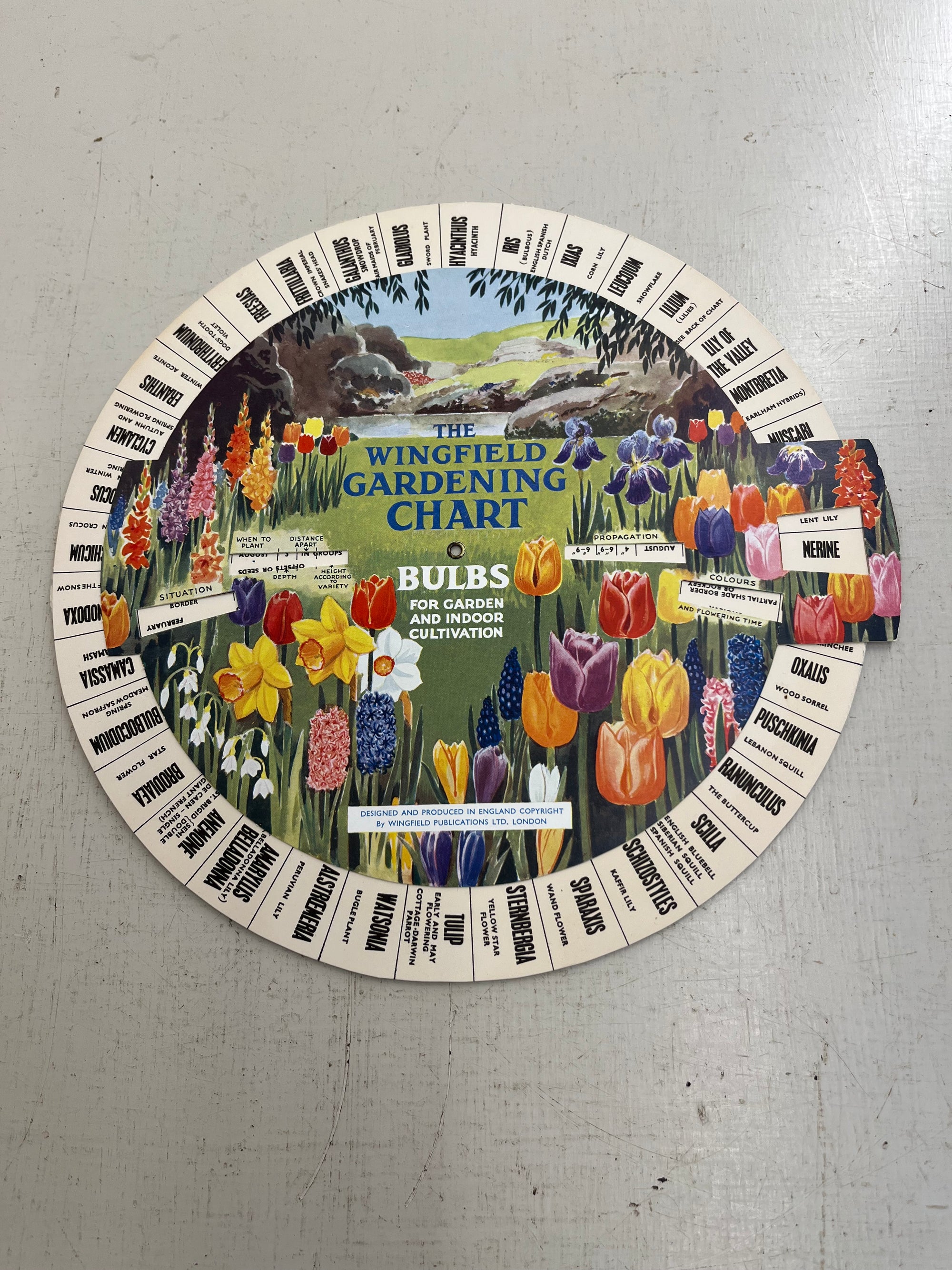 Wingfield Garden Chart