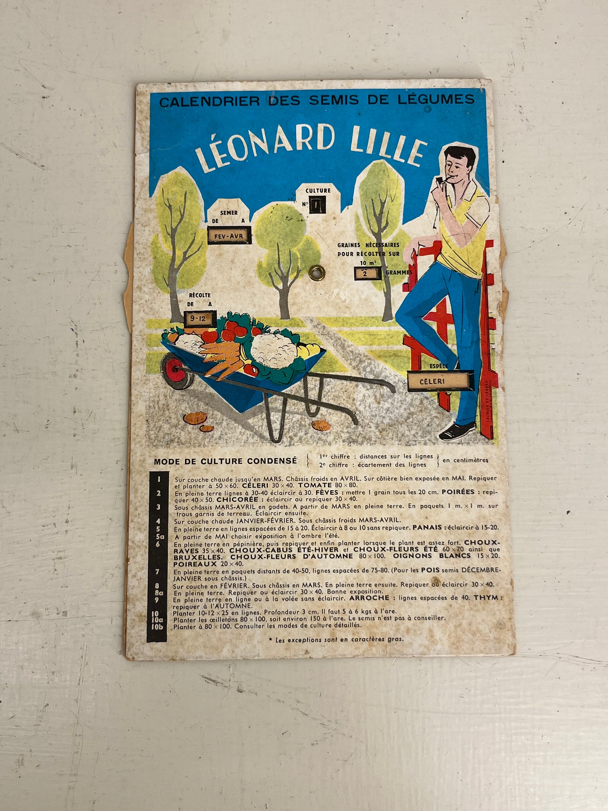 Leonard Lille Seed Sowing Guide