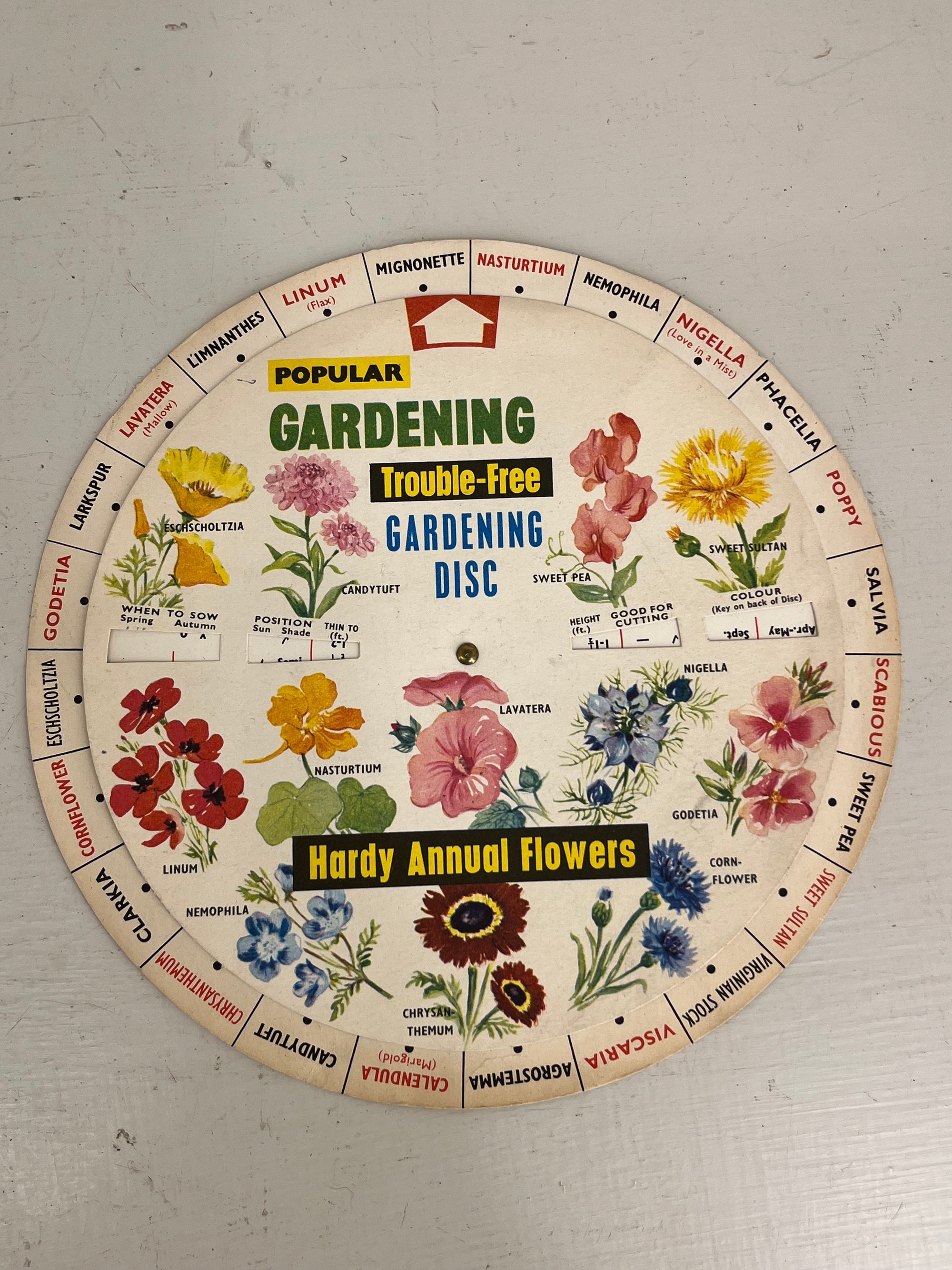 Popular Gardening Flower Guide