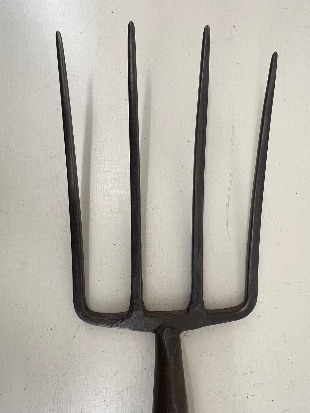 Skelton Garden Fork