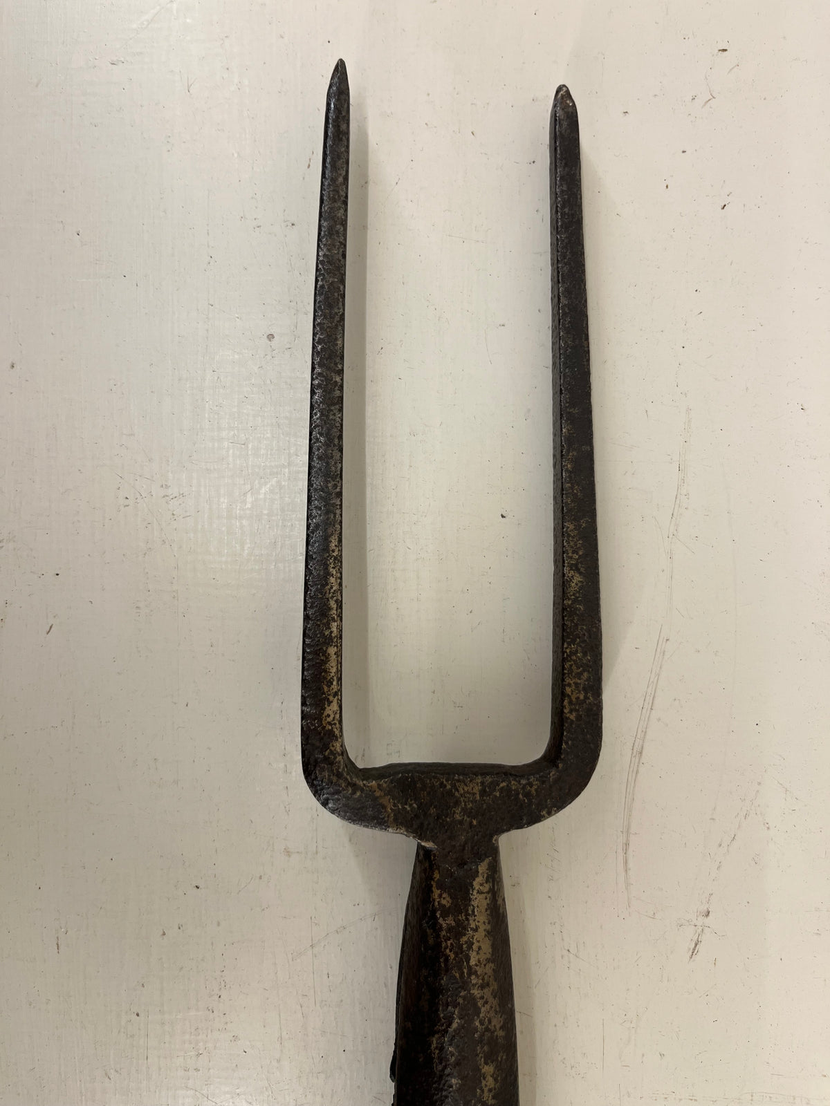 Root Lifting Fork