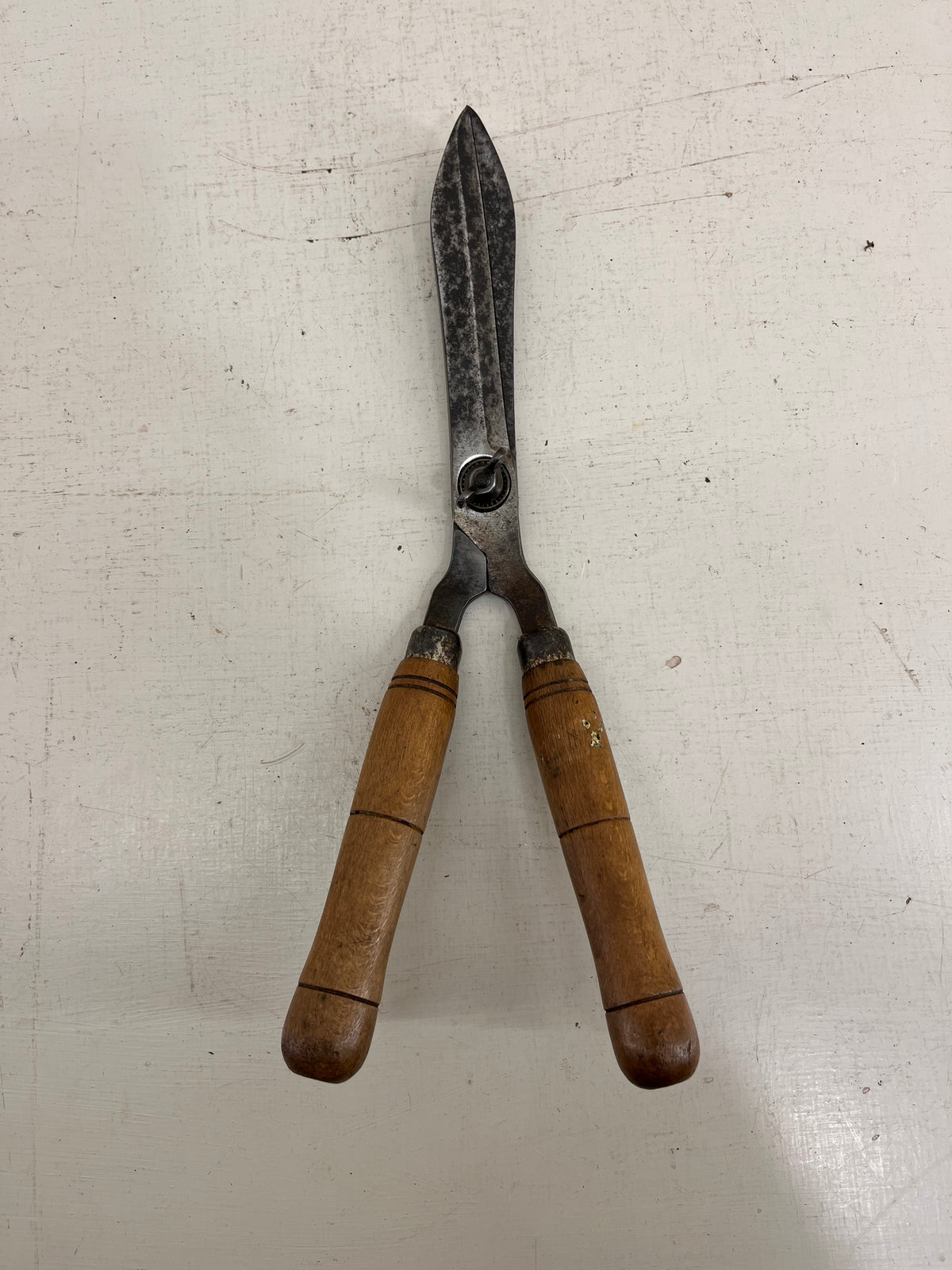 Vintage Garden Shears