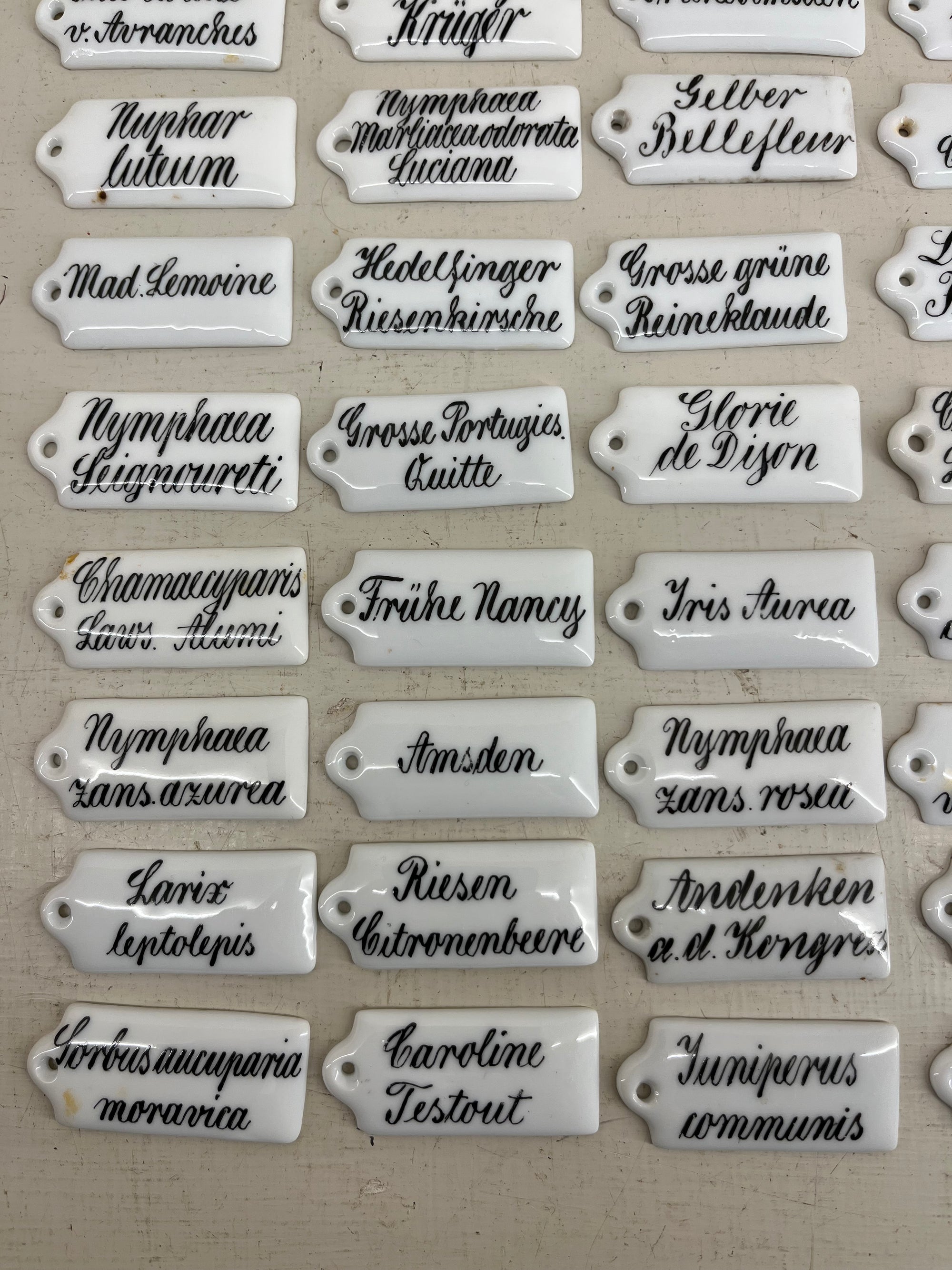 Ceramic Plant Labels
