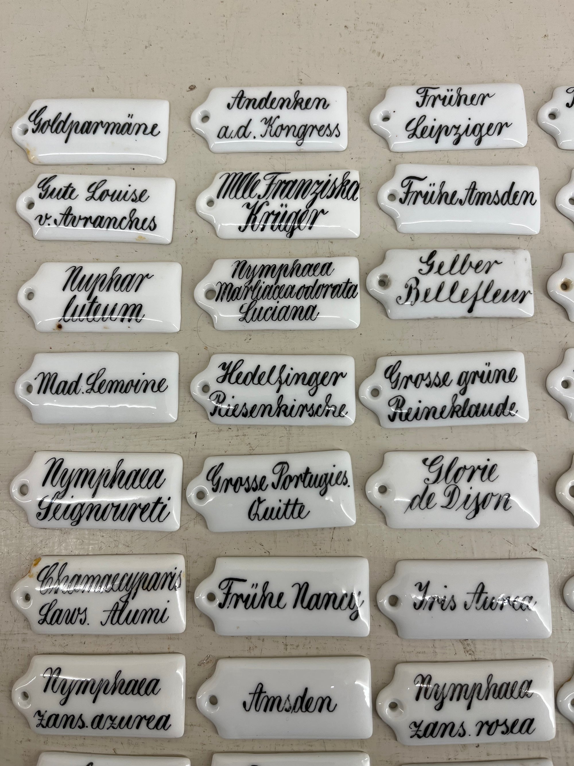 Ceramic Plant Labels