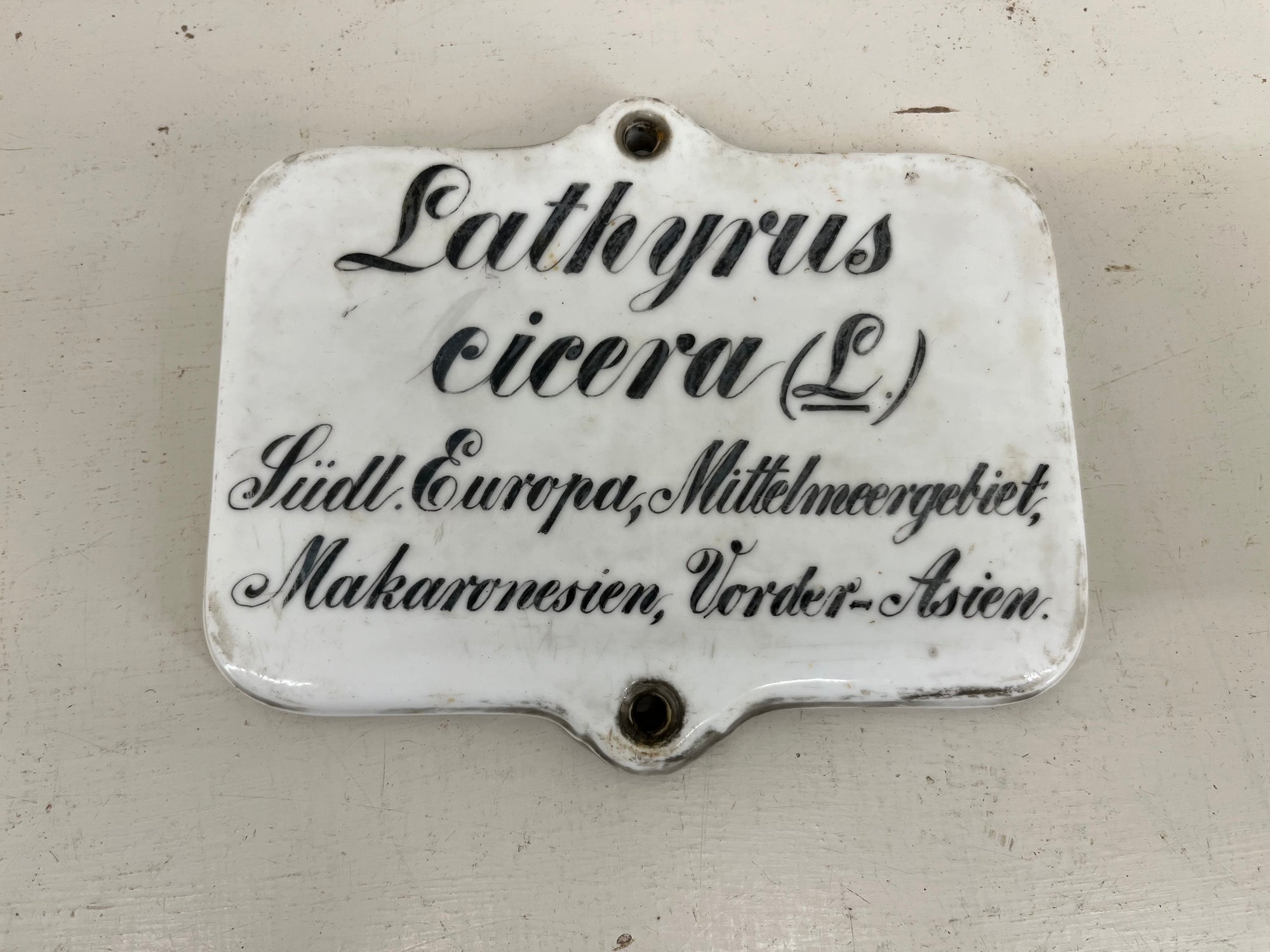 Large Ceramic Plant Labels