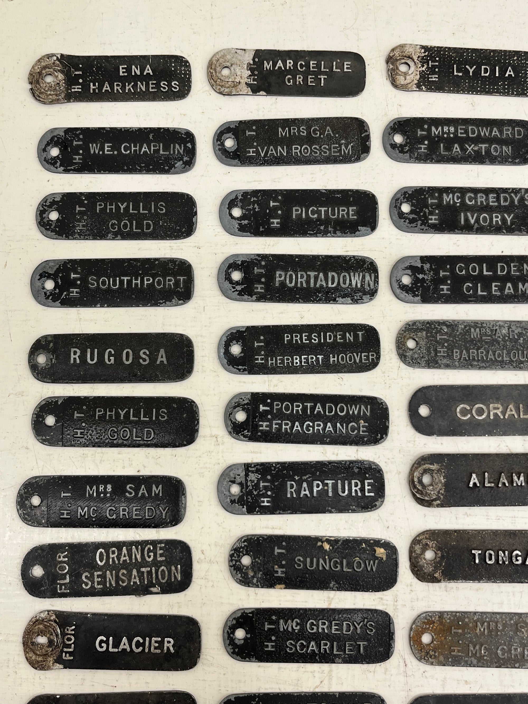ACME Rose Labels
