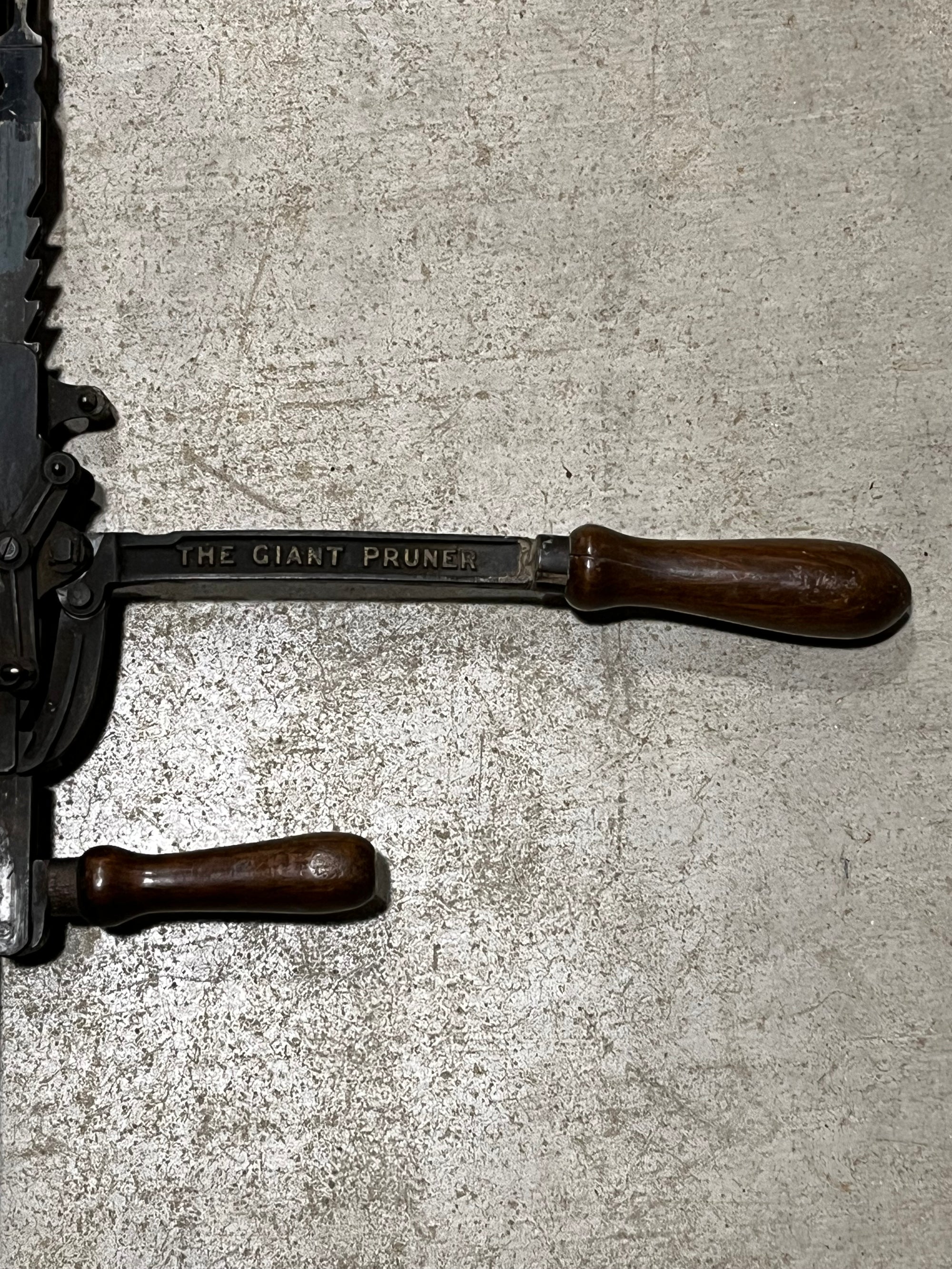 Giant Derby Tree Pruner