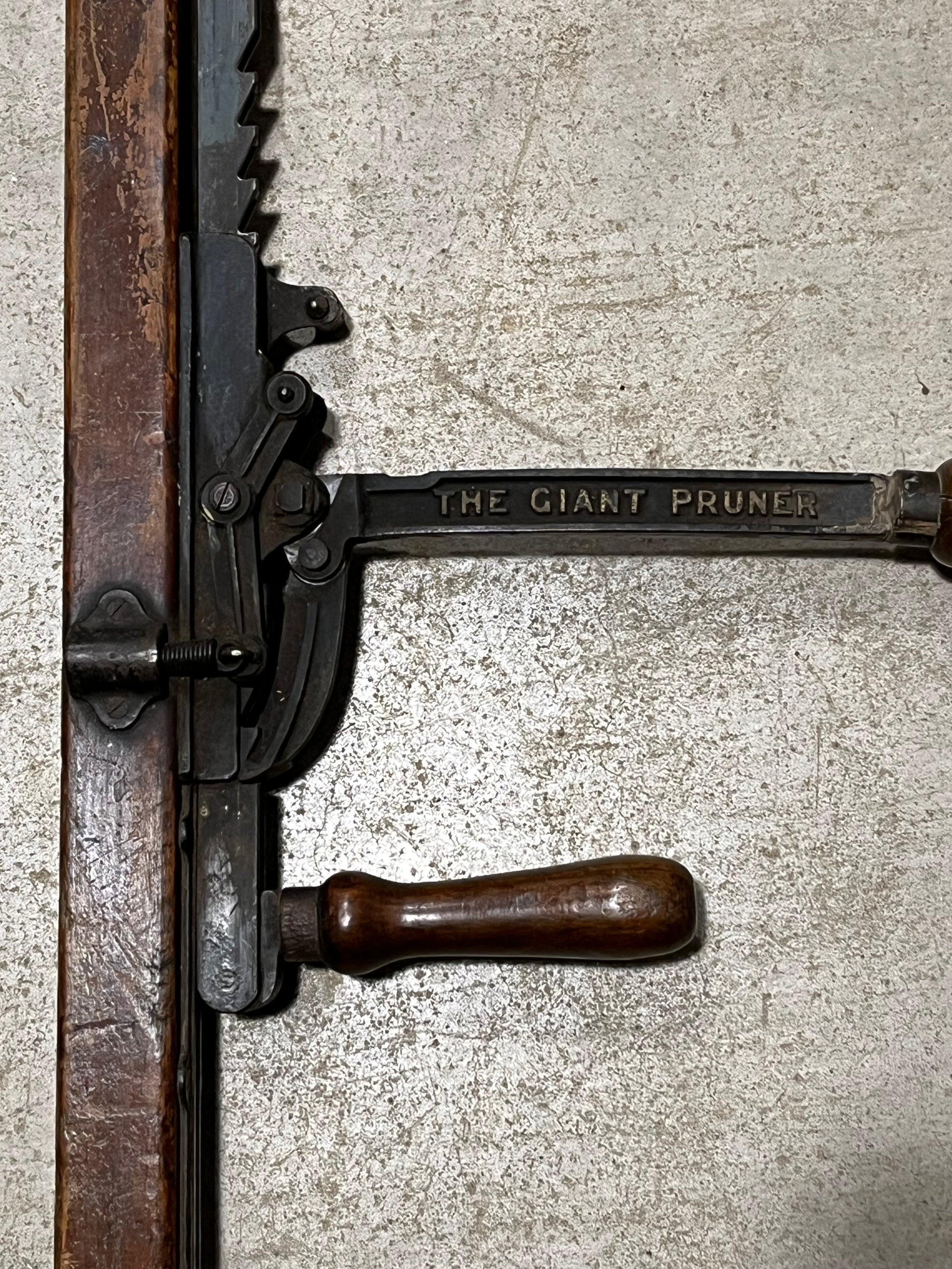 Giant Derby Tree Pruner