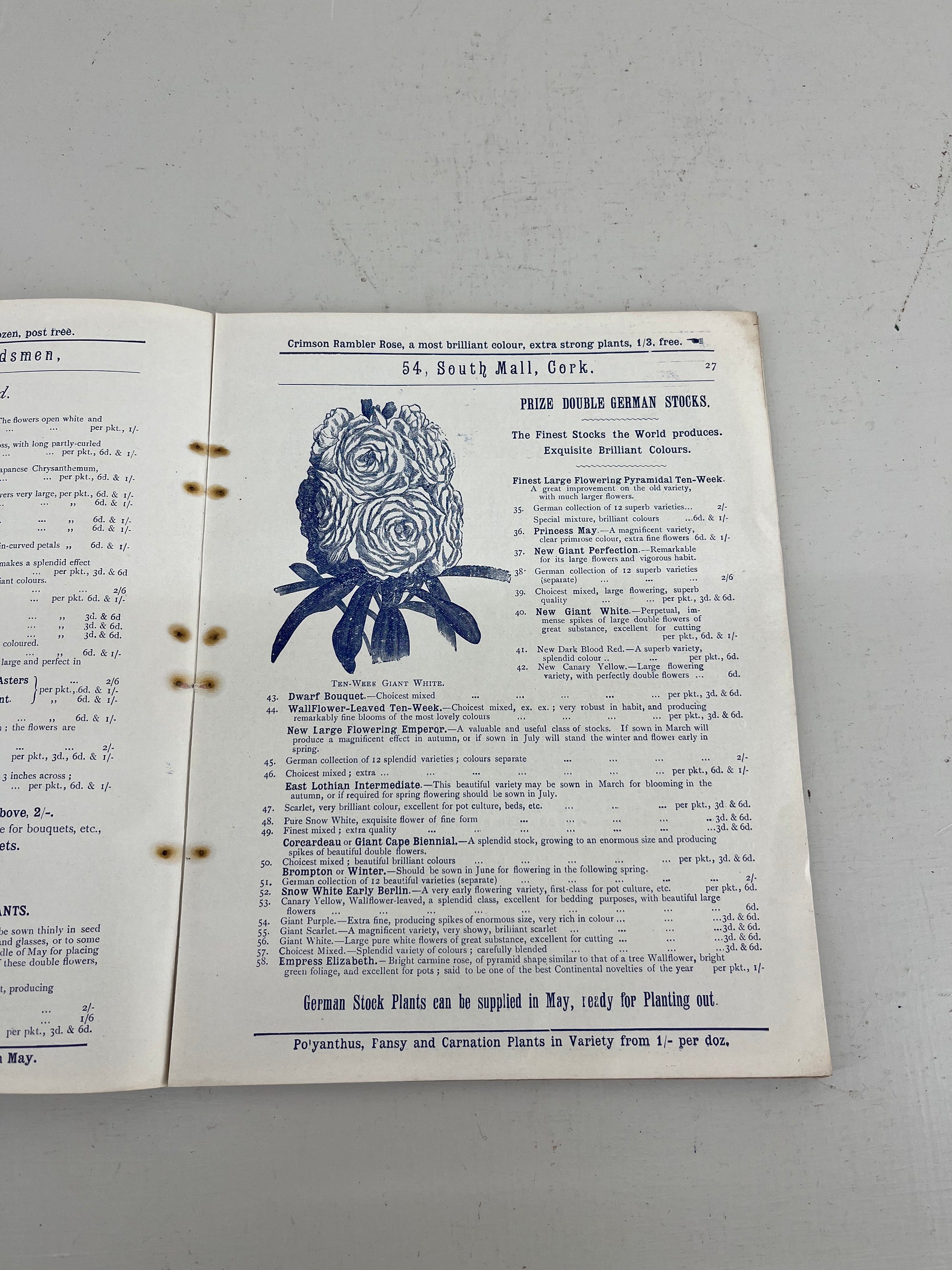 John Atkins Seed Catalogue, 1907