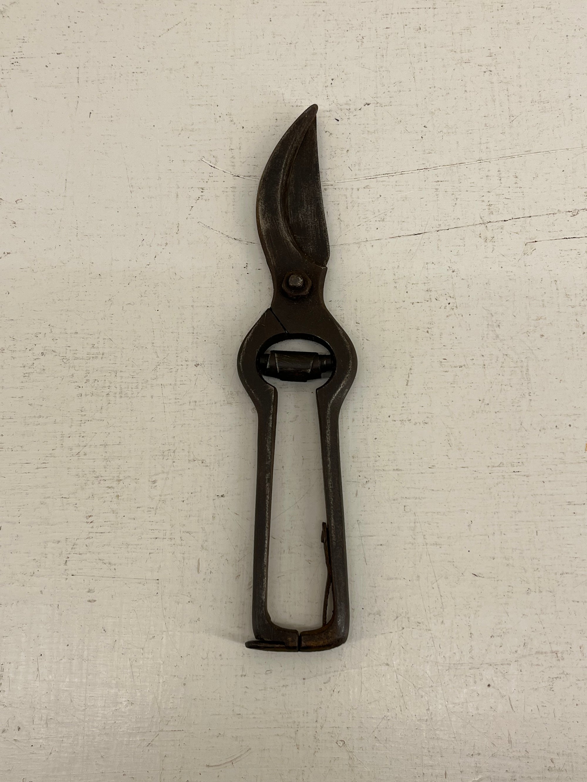 Vintage Secateurs