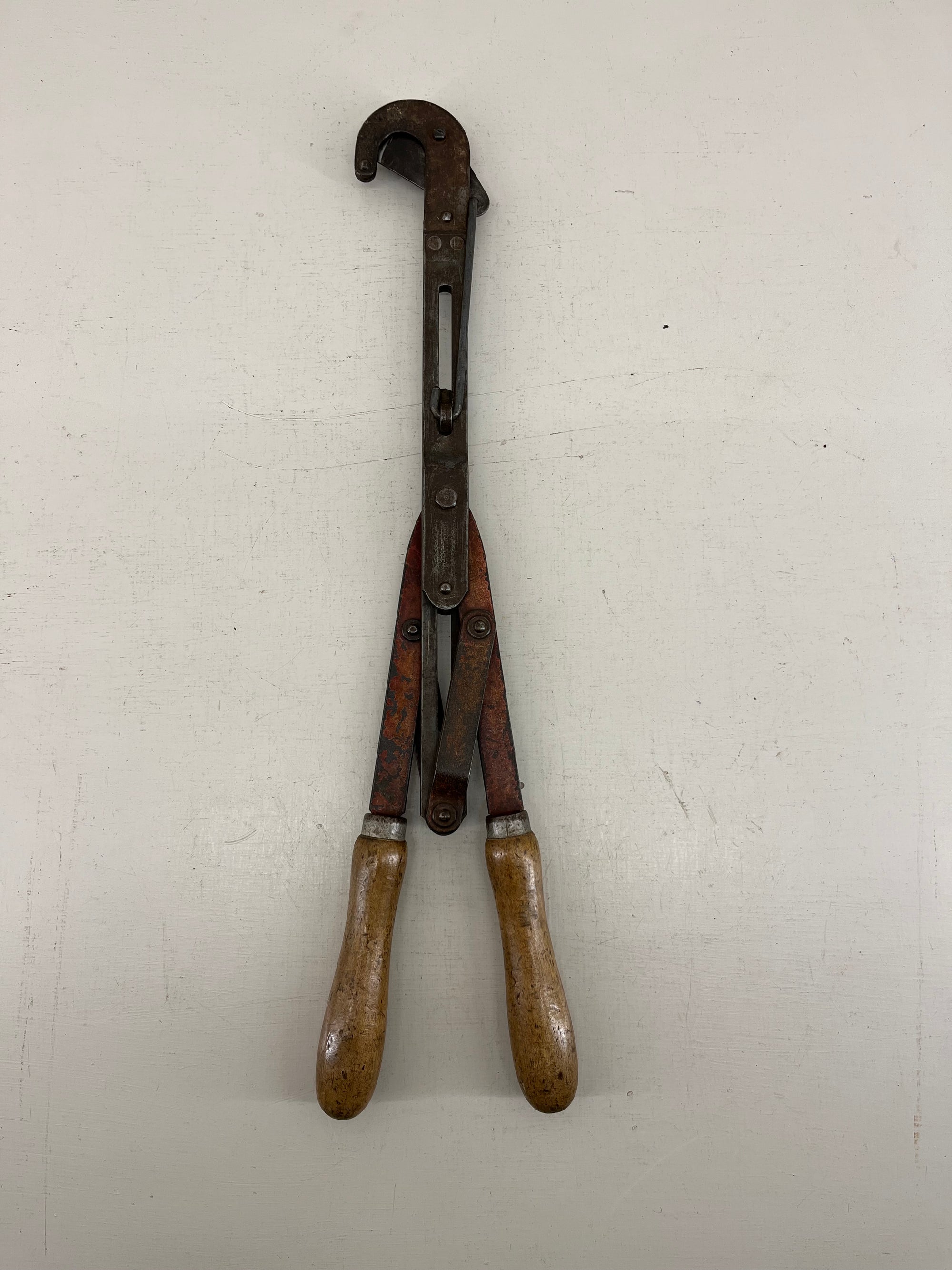 Myticuttah Pruners