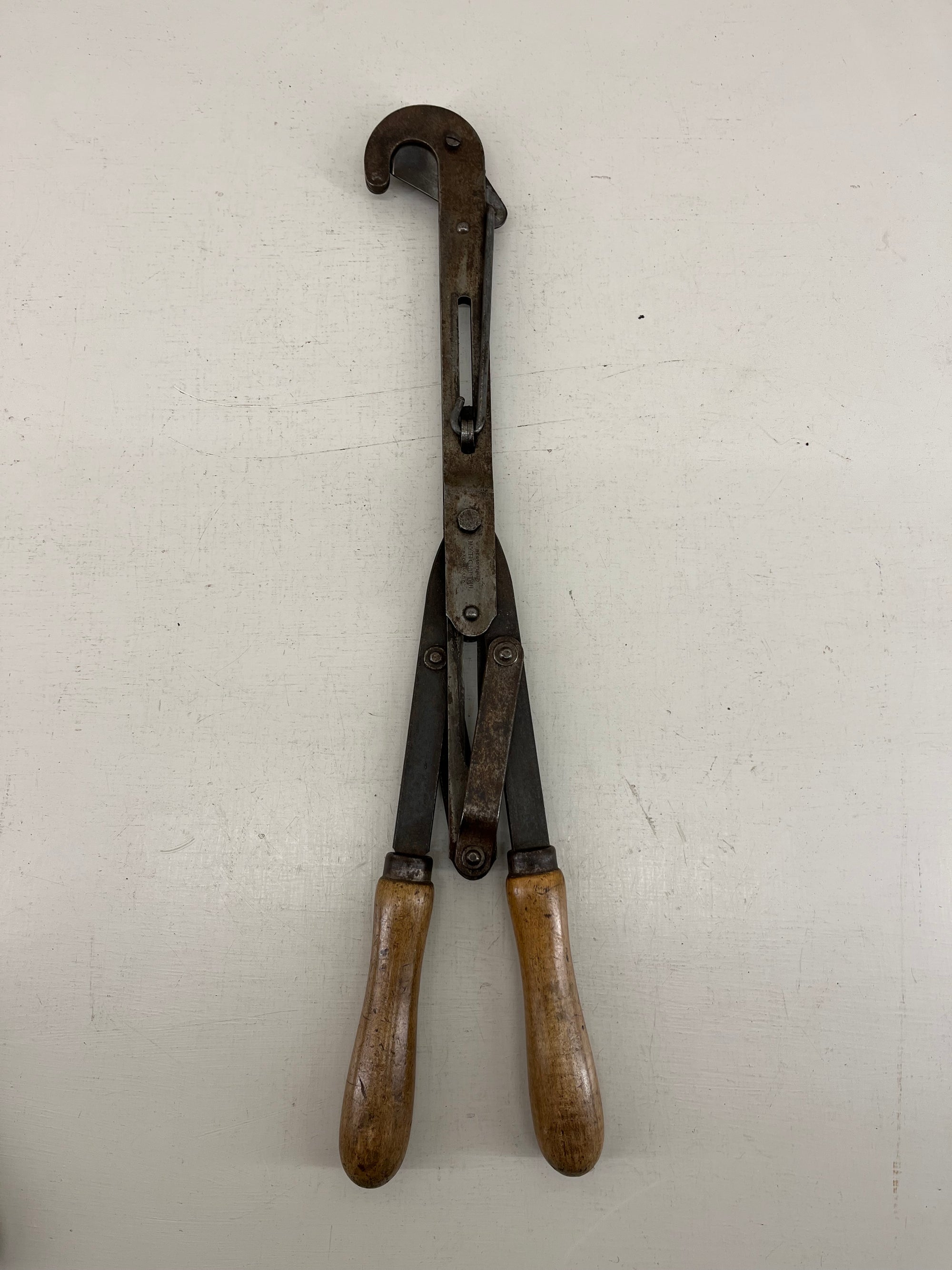 Myticuttah Pruners
