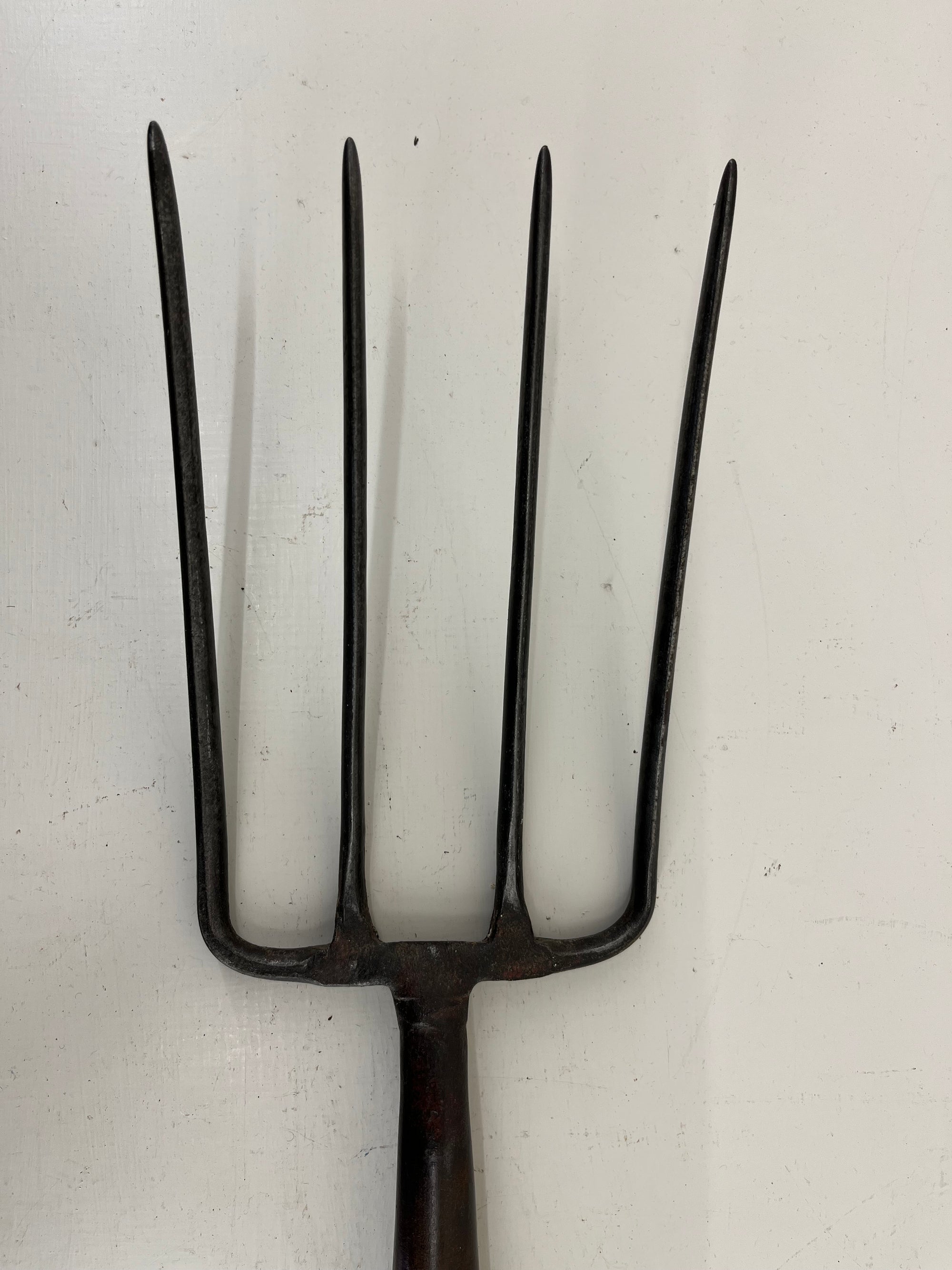 Elwell Border Fork