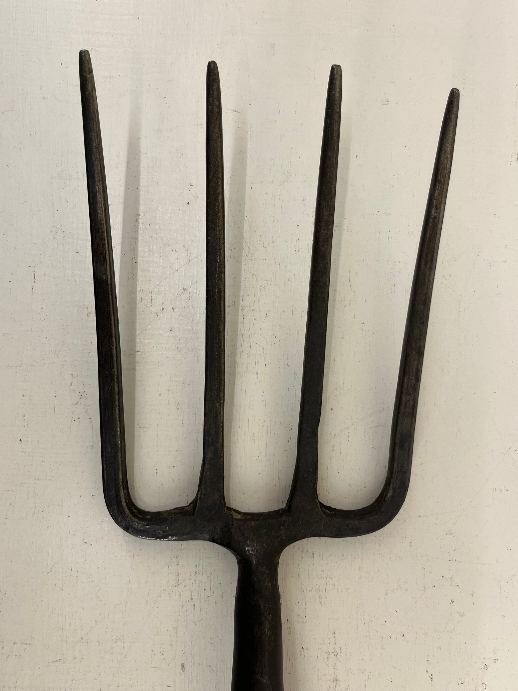 Bulldog Border Fork