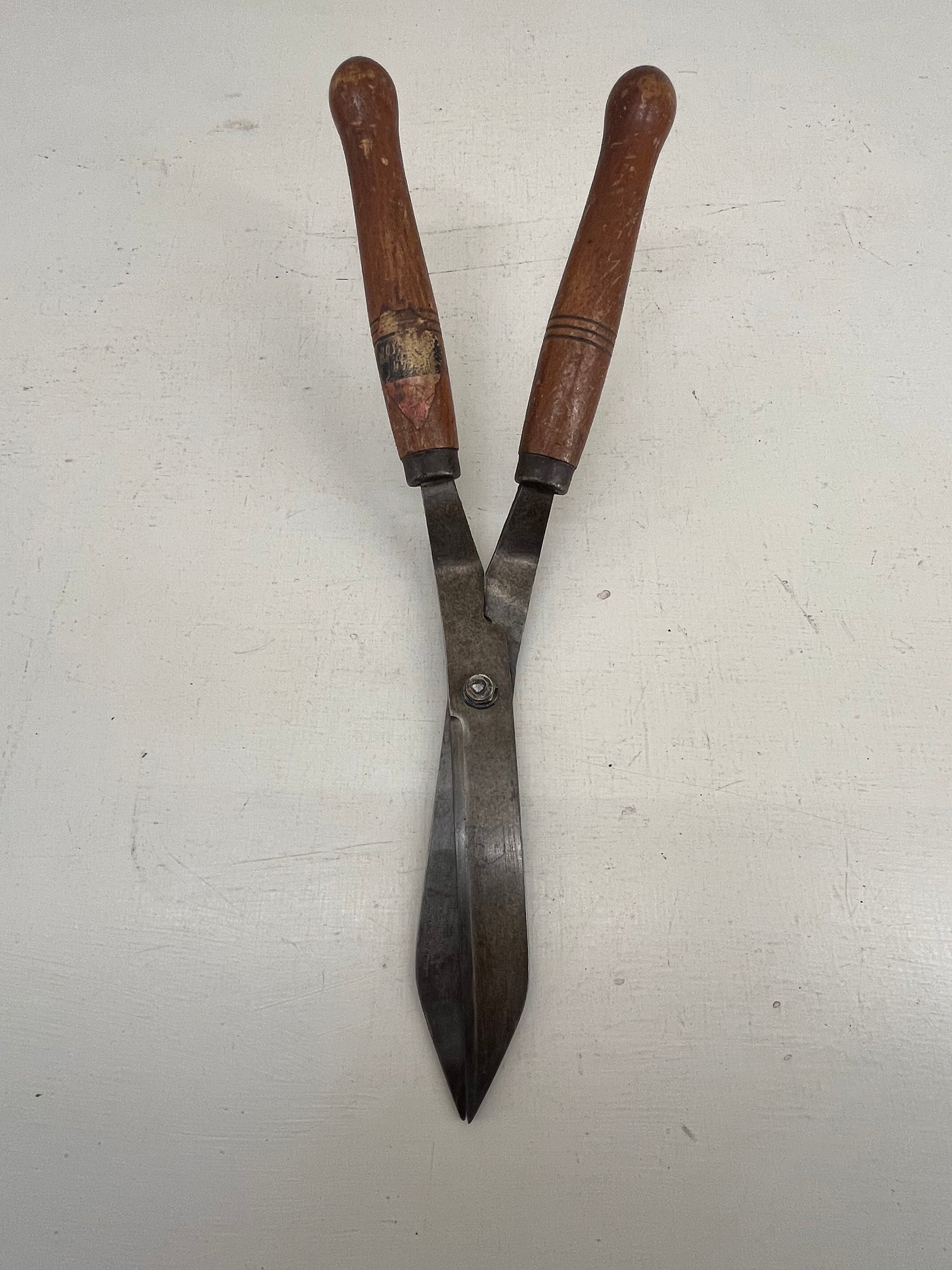 Spear &amp; Jackson Shears