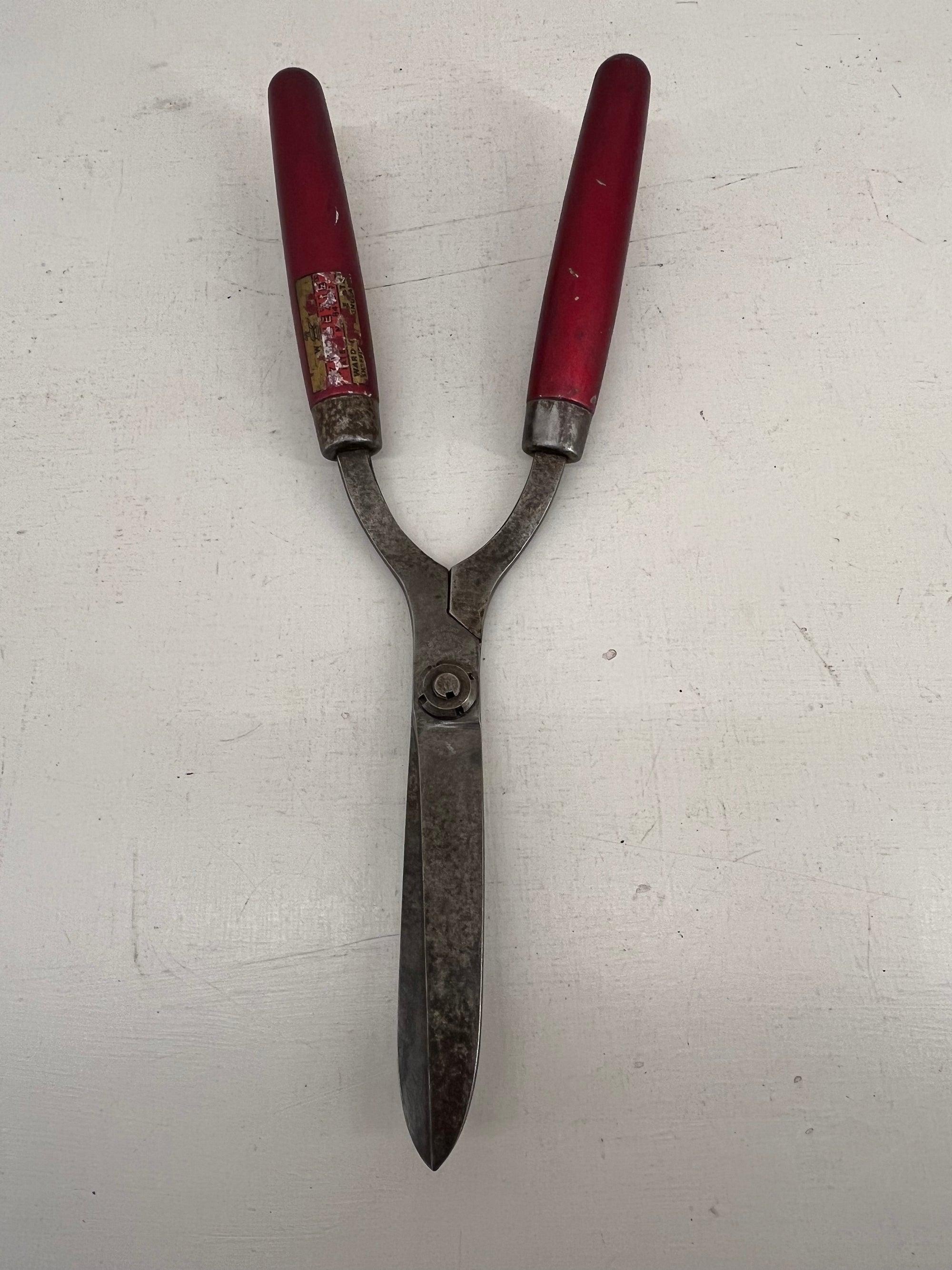 Ward &amp; Payne Shears
