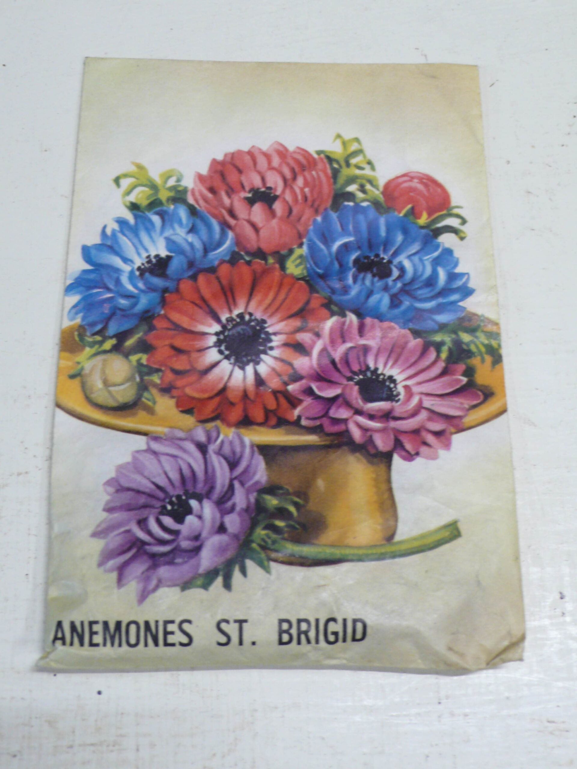 Vintage Packet of Anemones