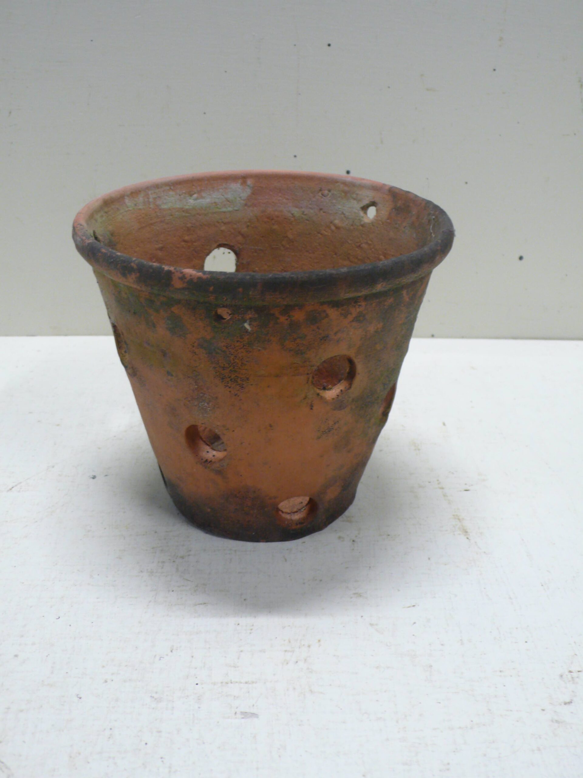5.5 inch Terracotta Orchid Pot