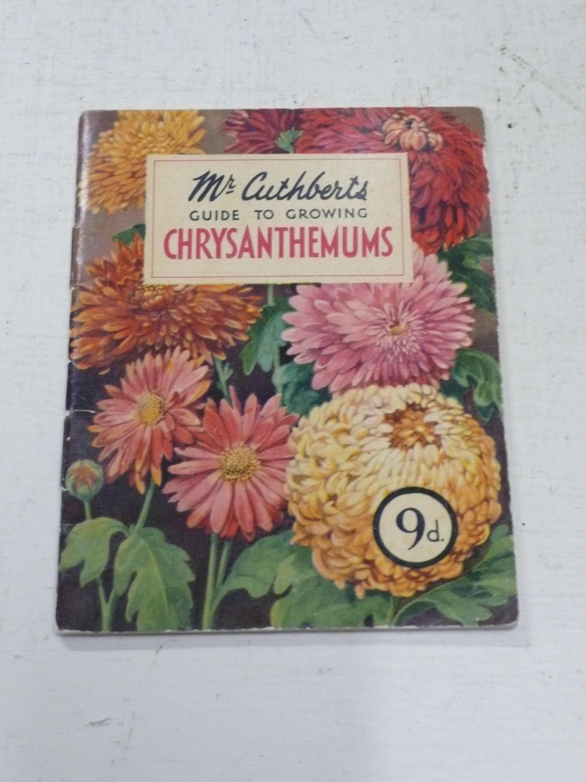 Mr Cuthberts Chrysanthemum Guide