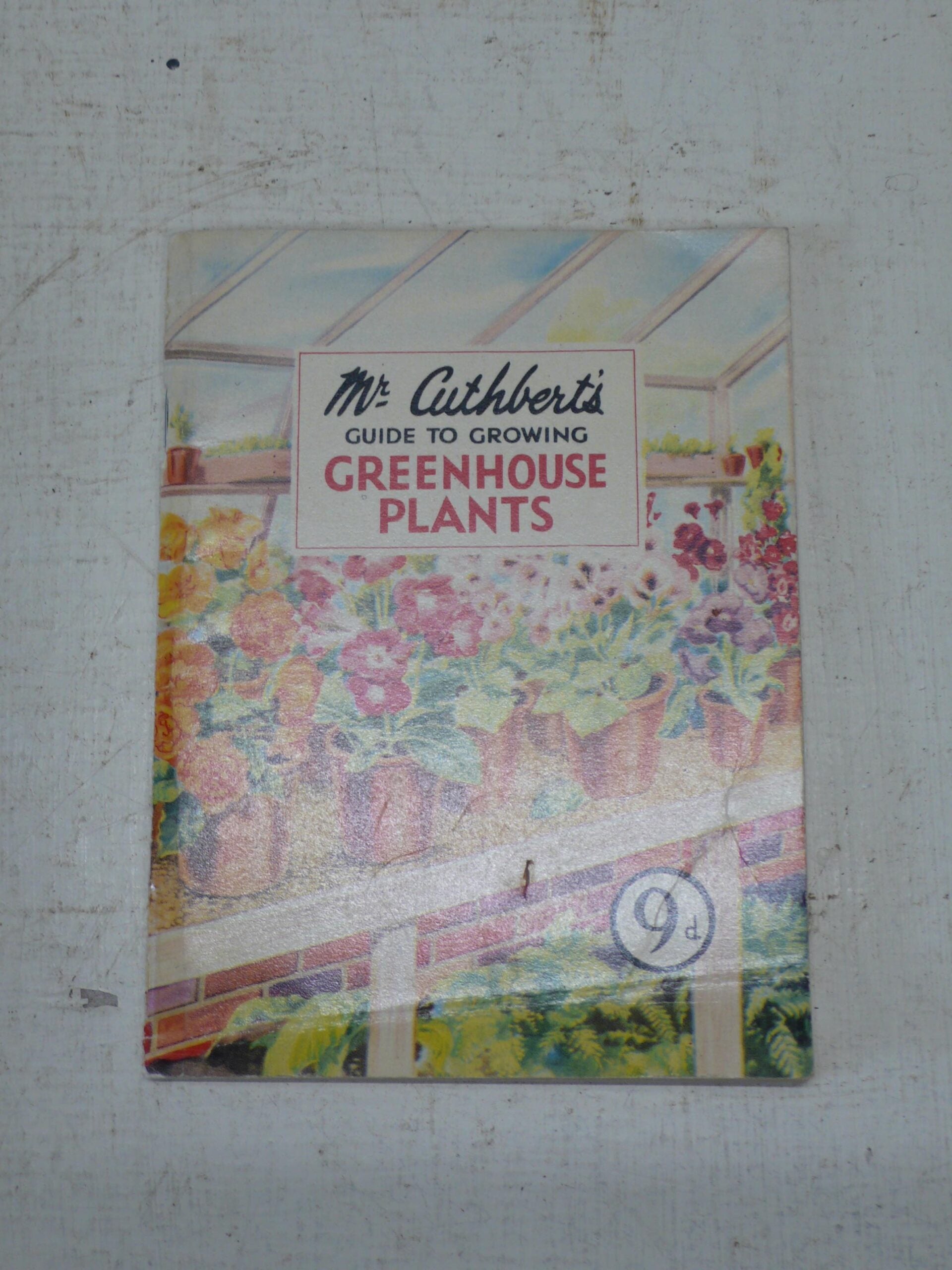 Mr Cuthberts Greenhouse Plants Guide