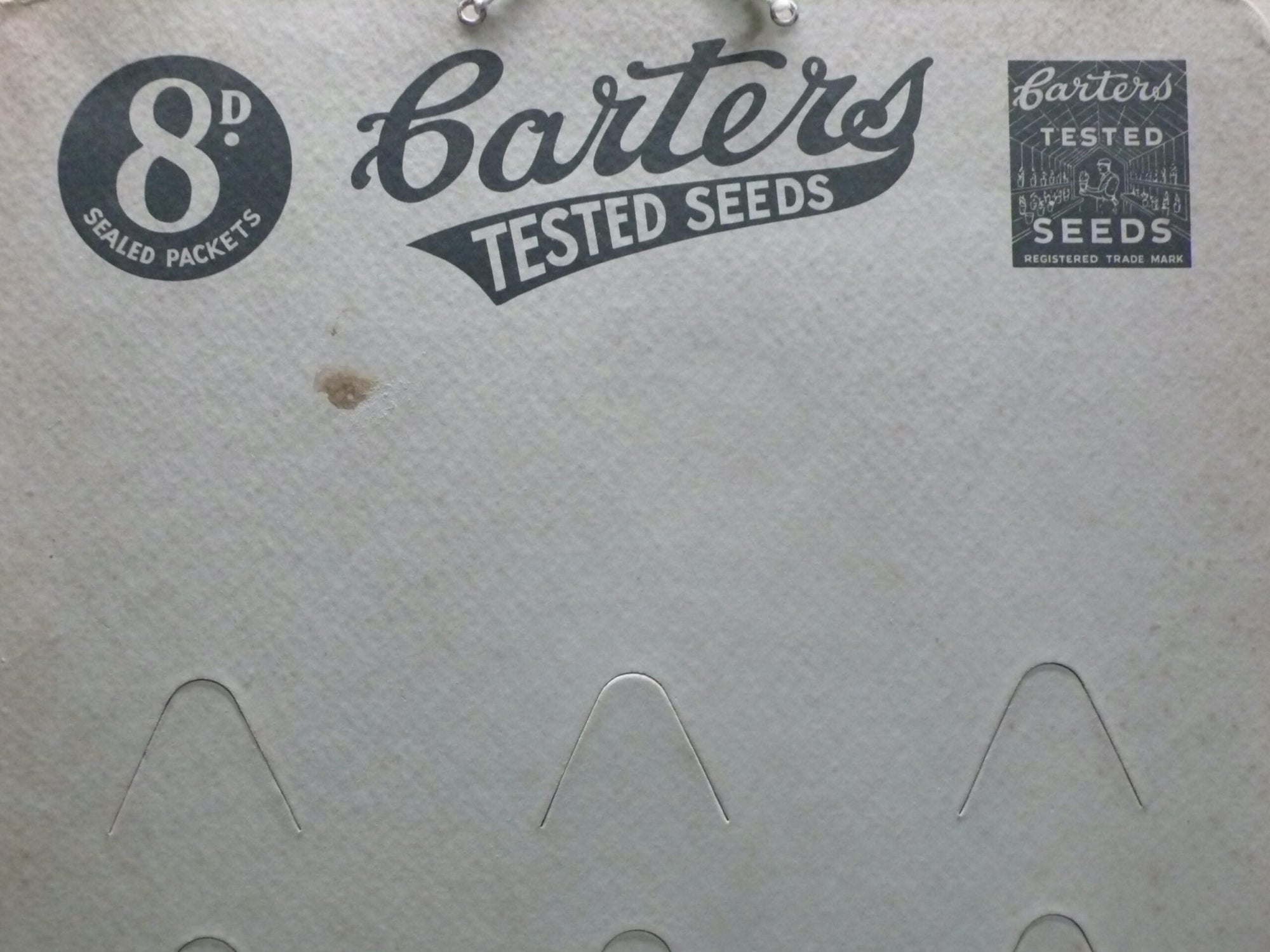 Carters Seeds Shop Display Card