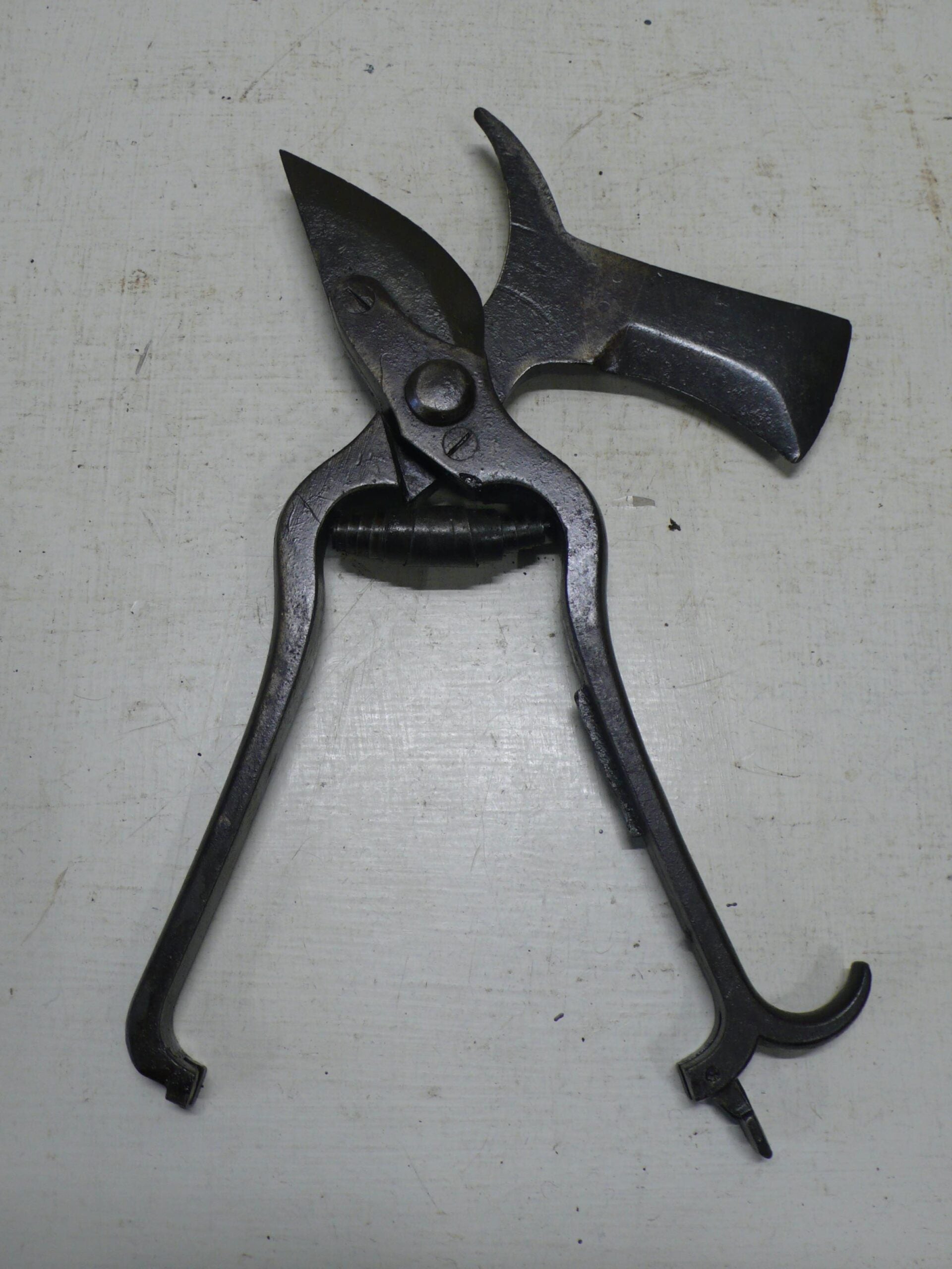 French Vine Secateurs