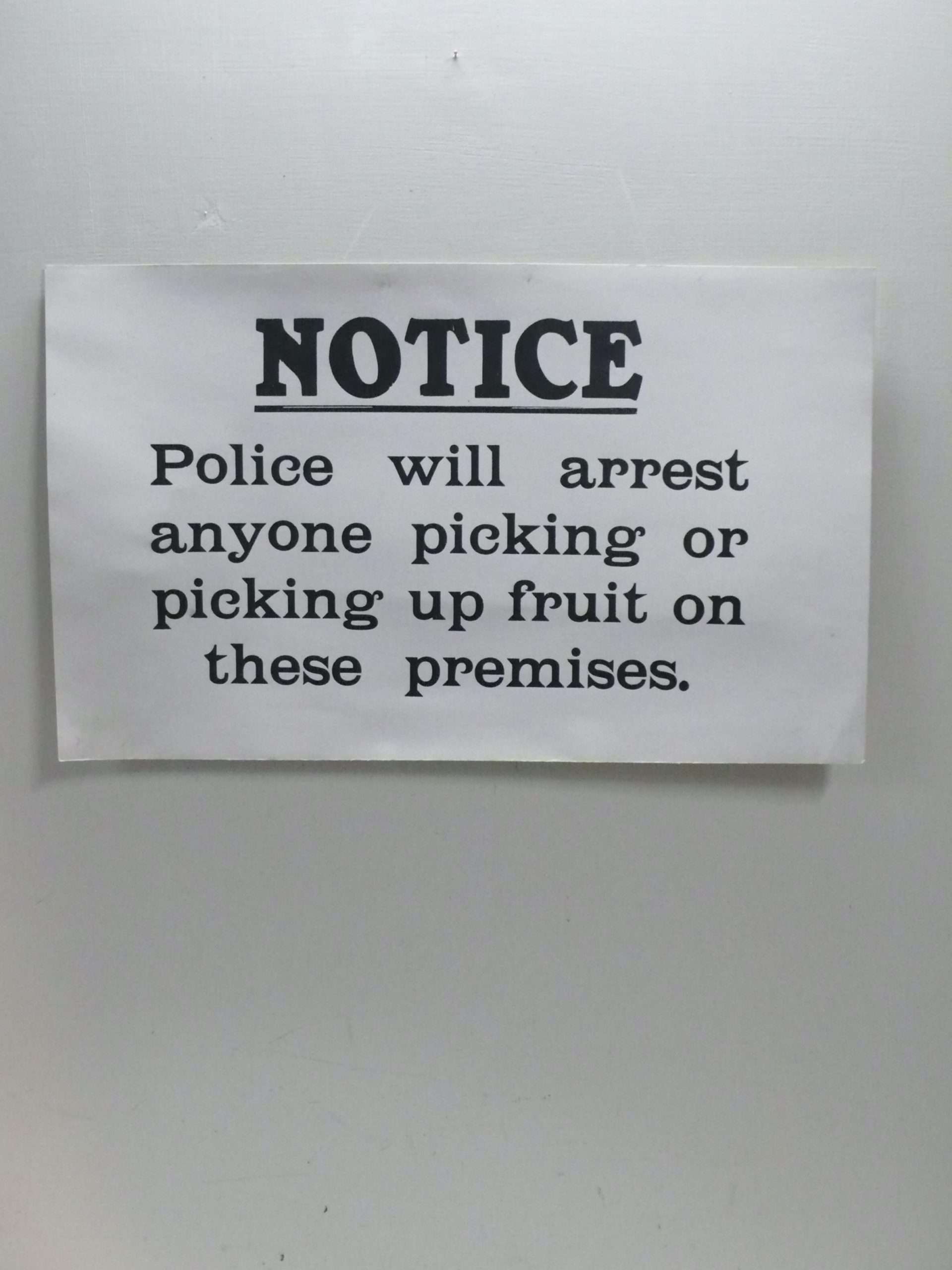 Large Fruit Growers Notice