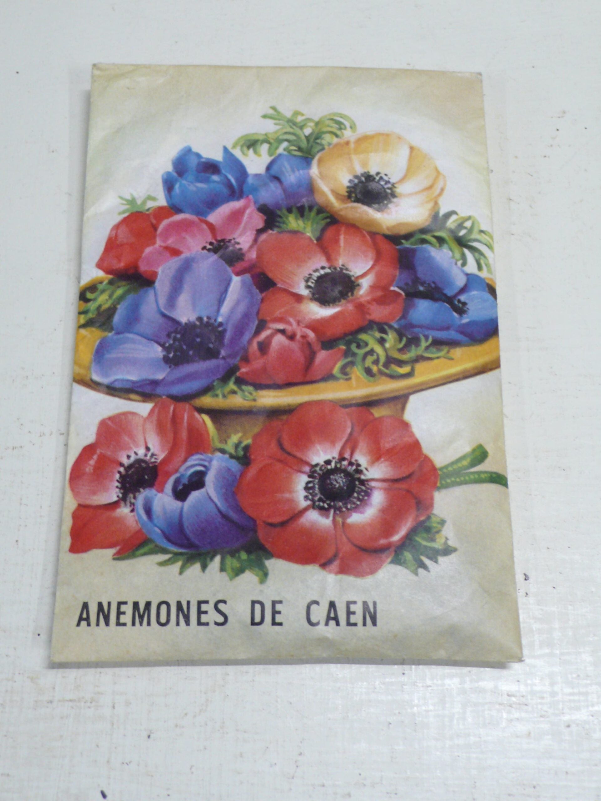 Vintage Packet of Anemones
