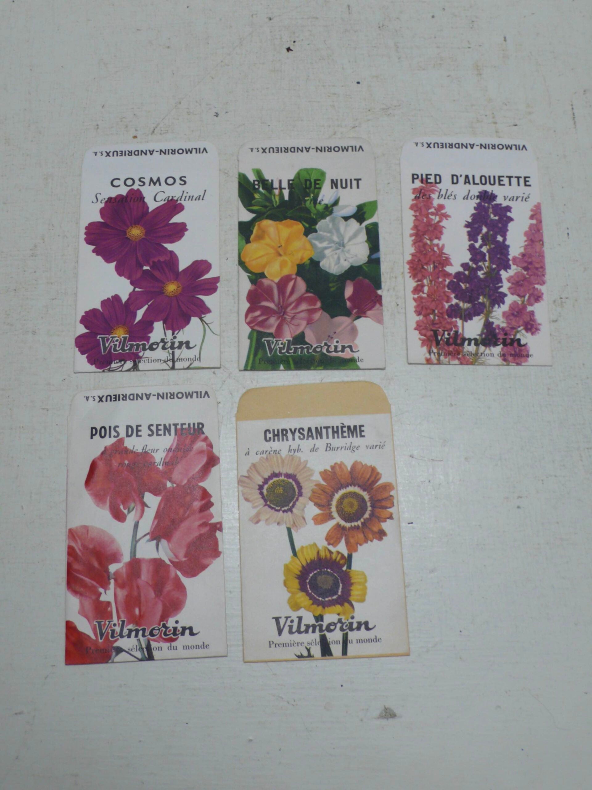 Vilmorin Flower Seed Packets