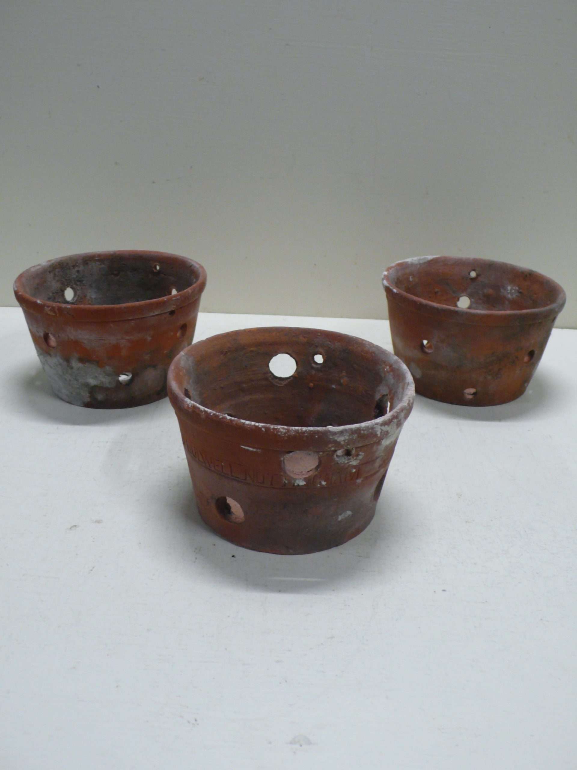 Sankey Vintage Terracotta Orchid Pots