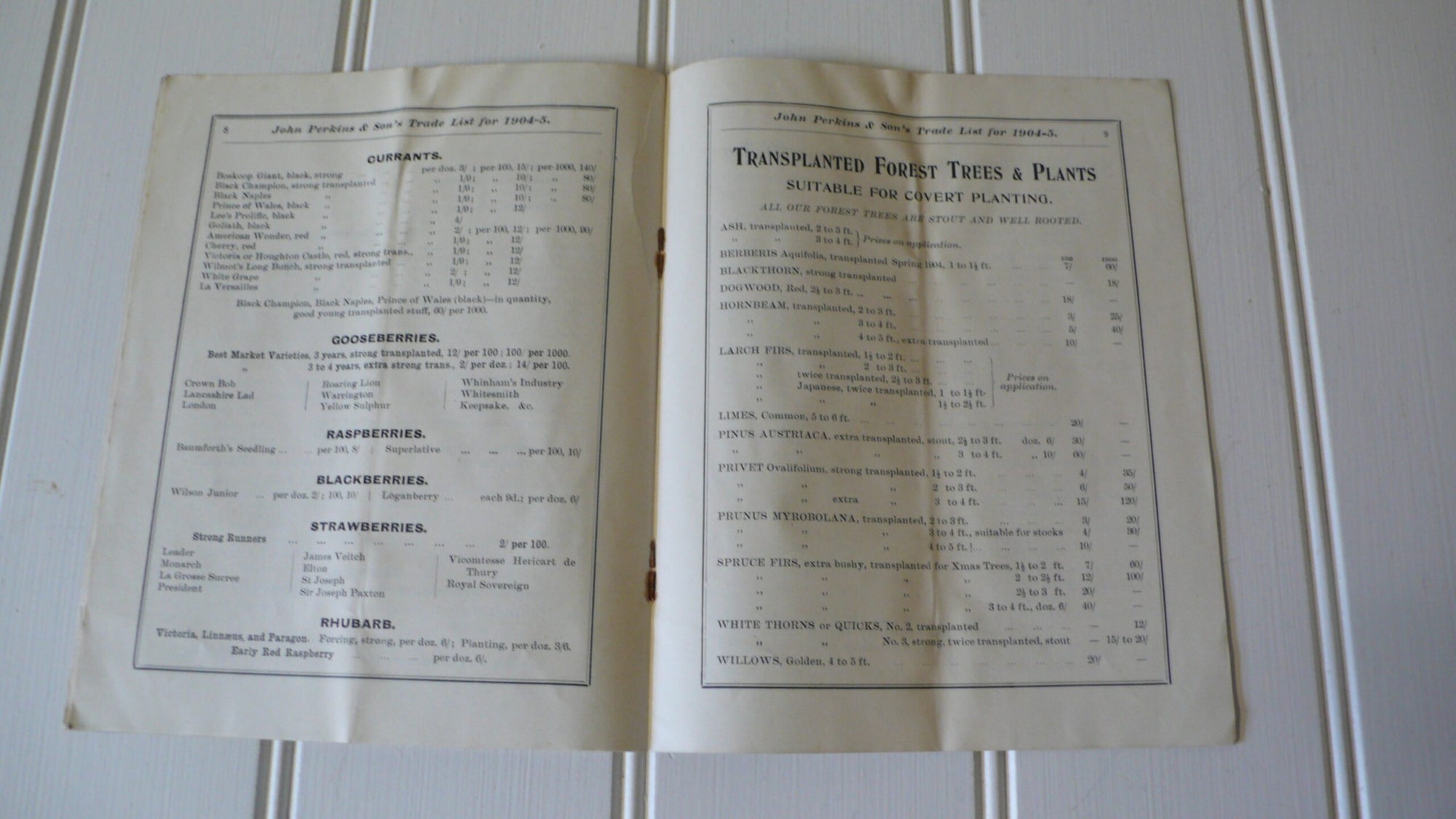 John Perkins Trade Catalogue, 1904 - 1905