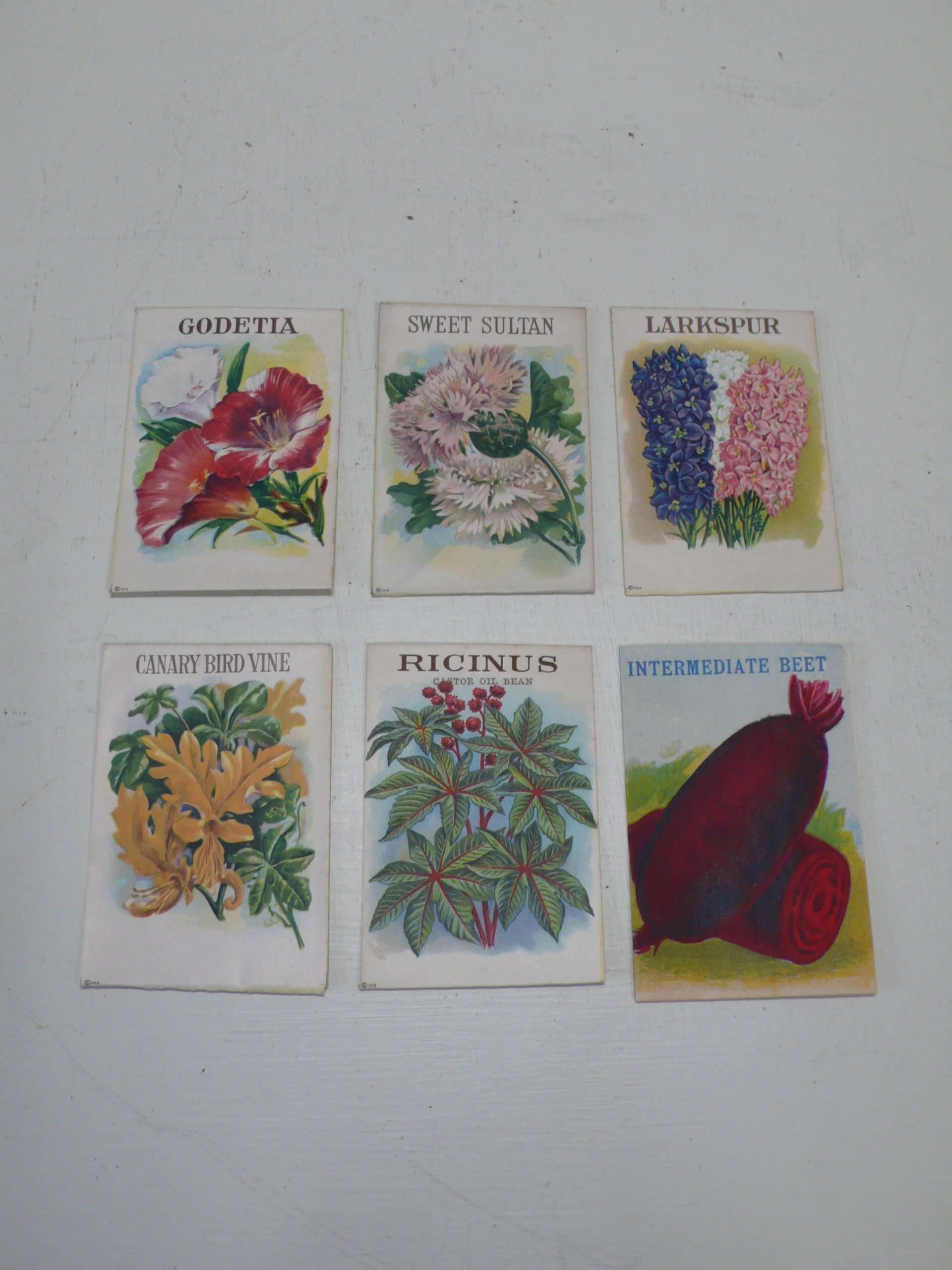 Vintage American Seed Packets