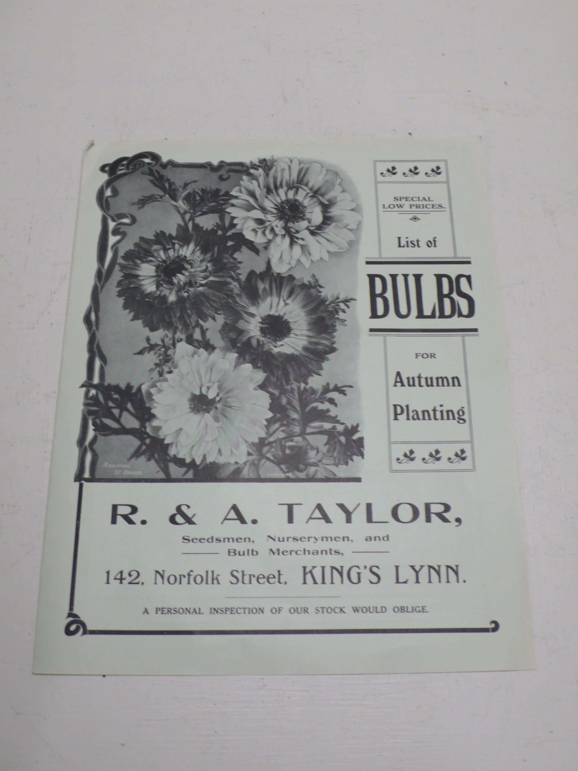 R A Taylor Bulb Catalogue