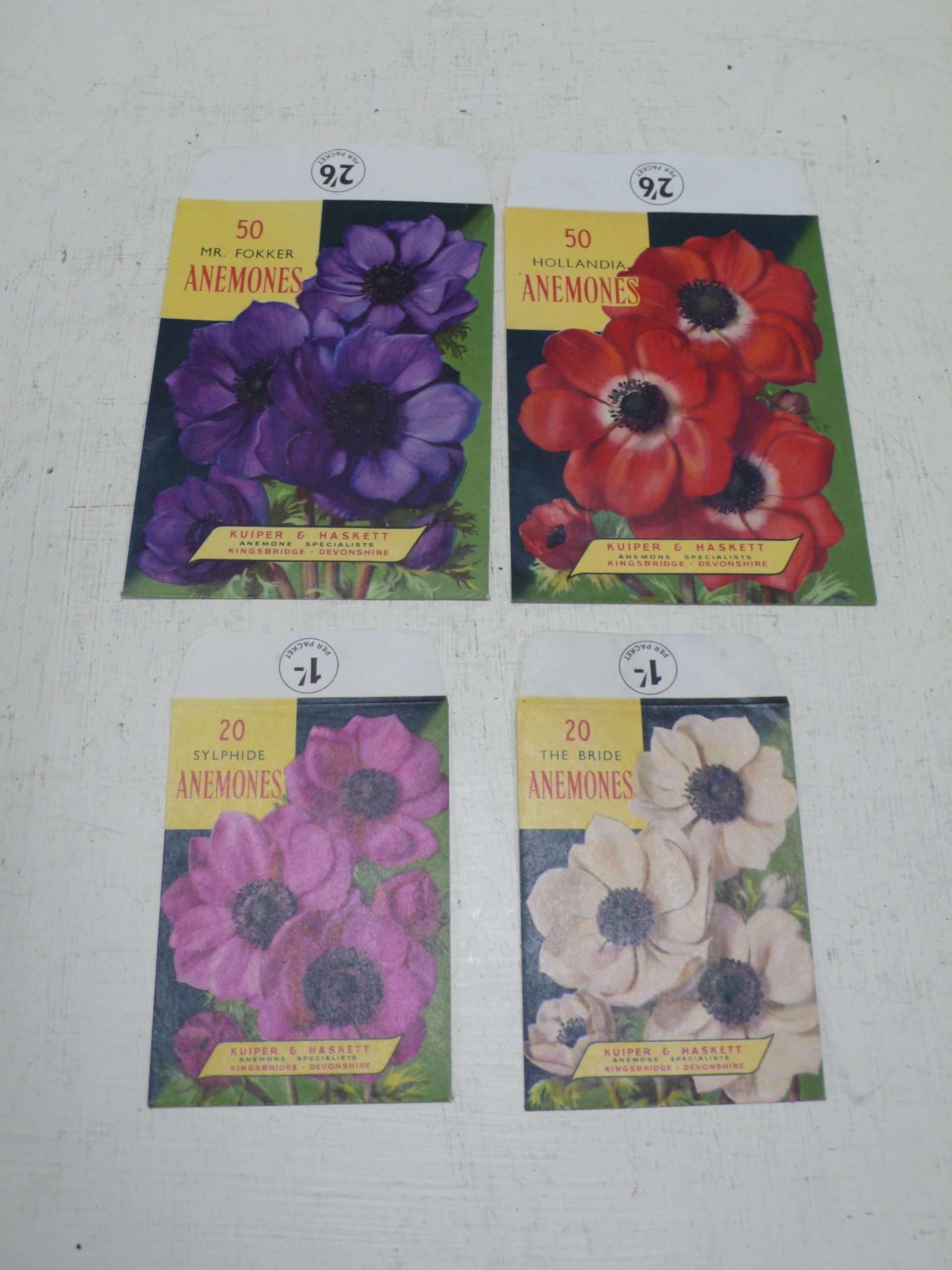 Collection of Anemone Seed Packets