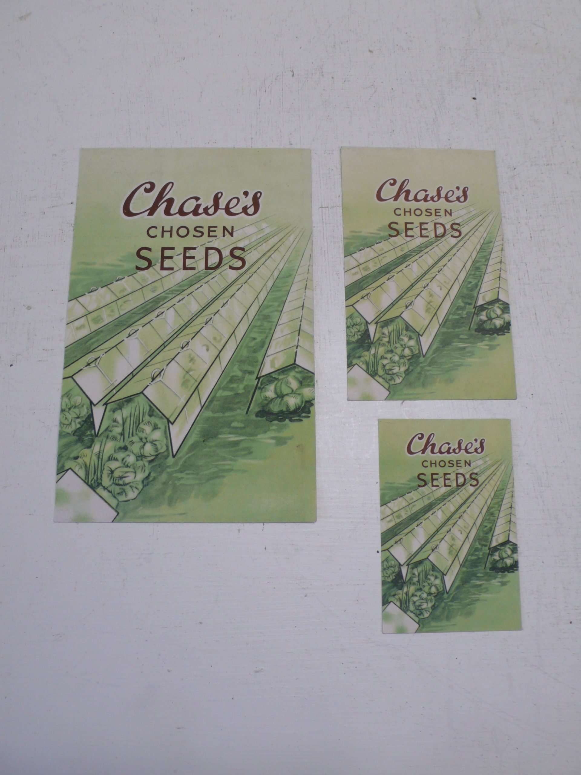 Set of Chase Seed Packets