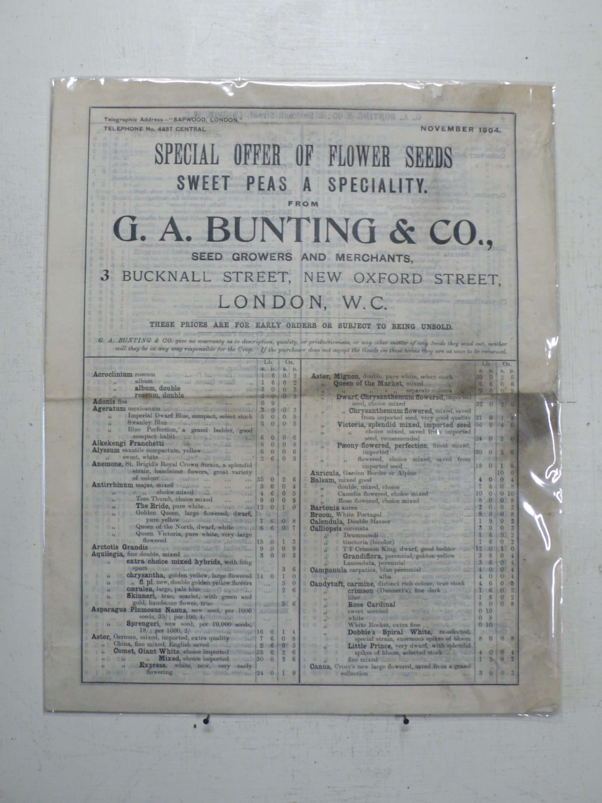 G A Bunting Seed List, 1904