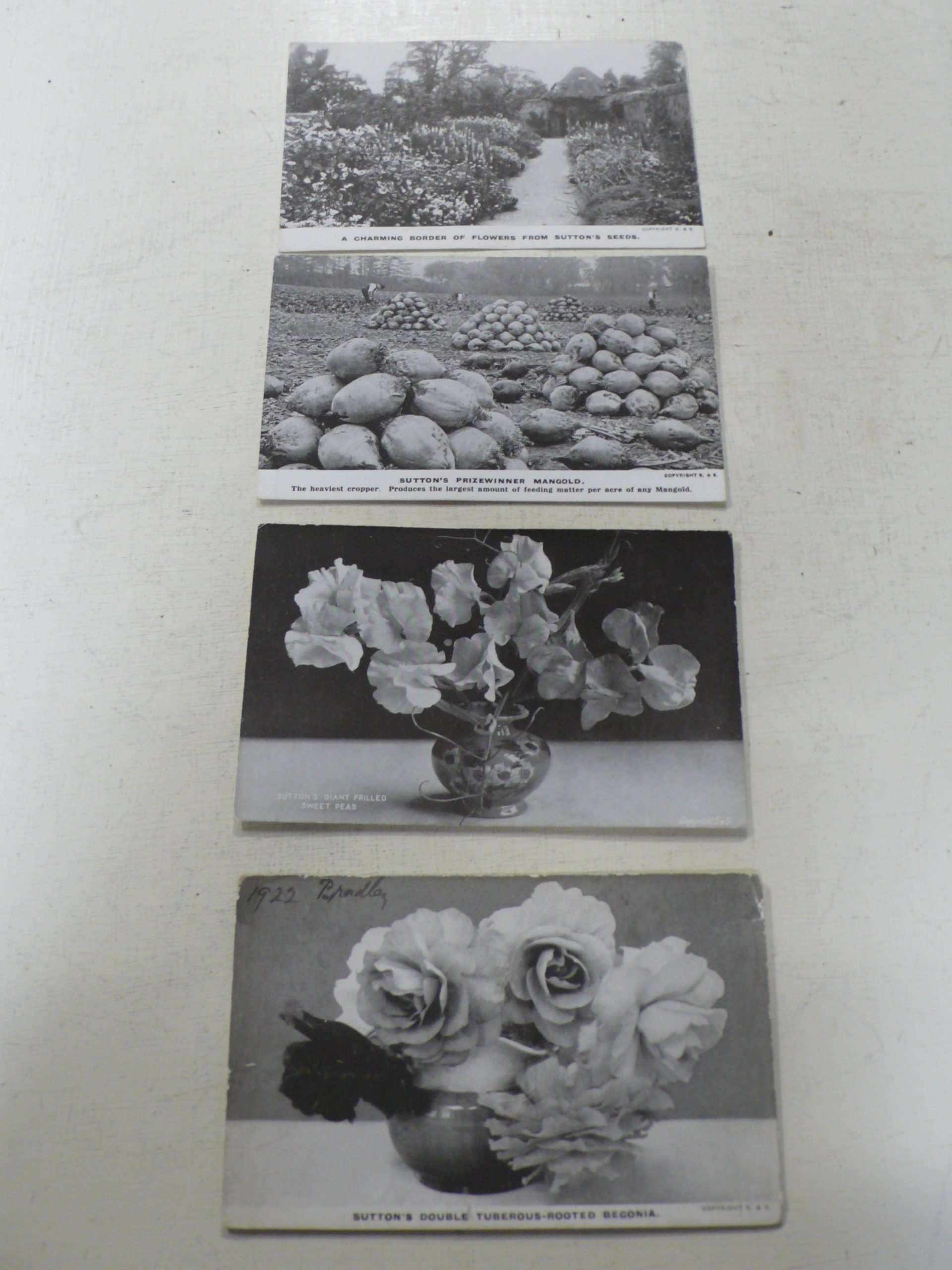 Set of Suttons Seeds Postcards